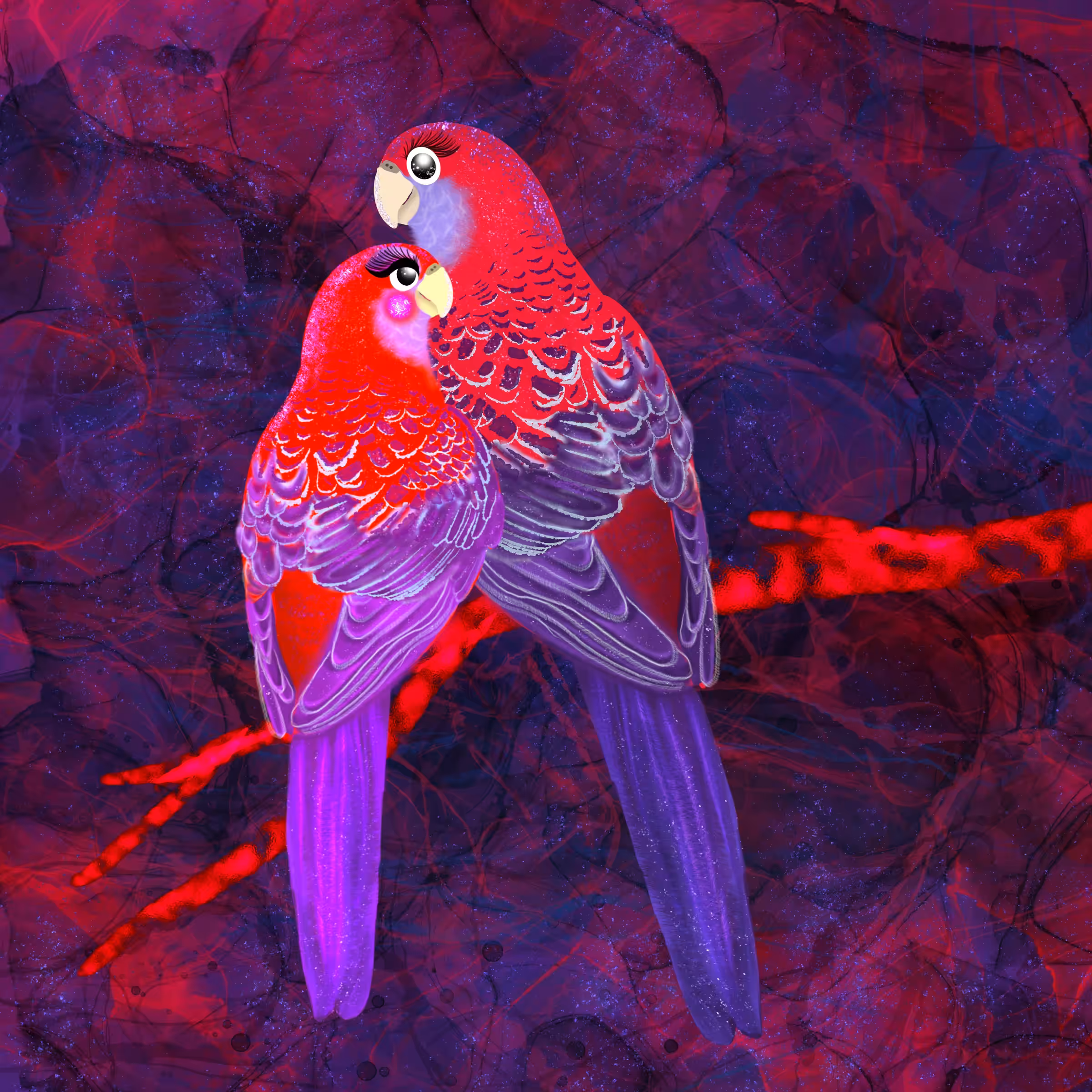 Crimson Rosella Parrots In Love