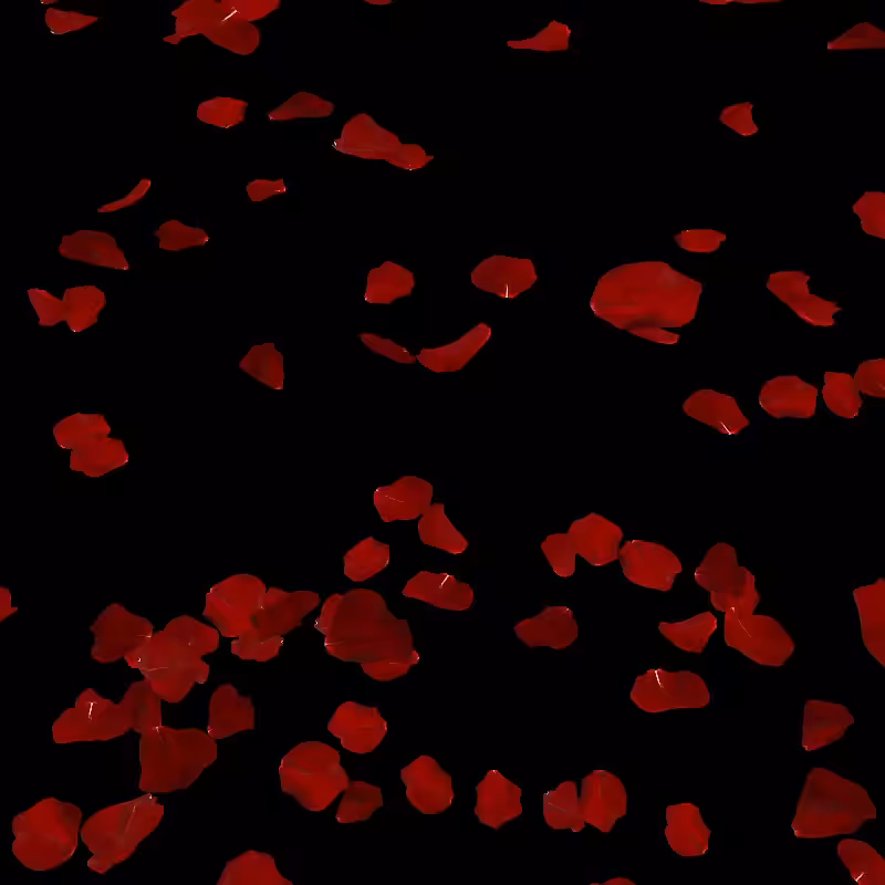 Falling Petals in the Wind