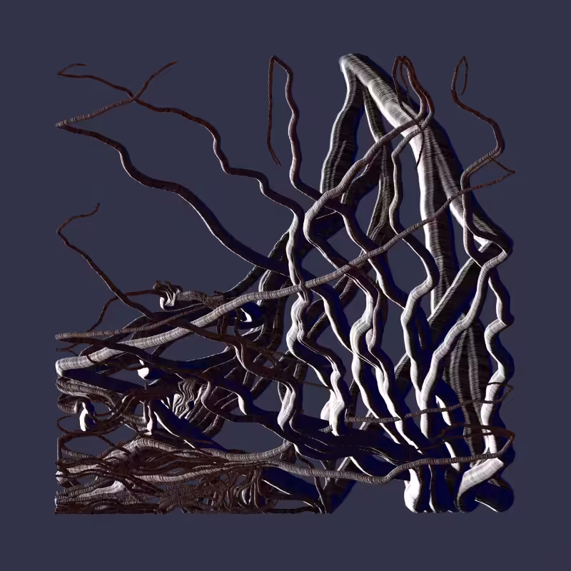 Root #27