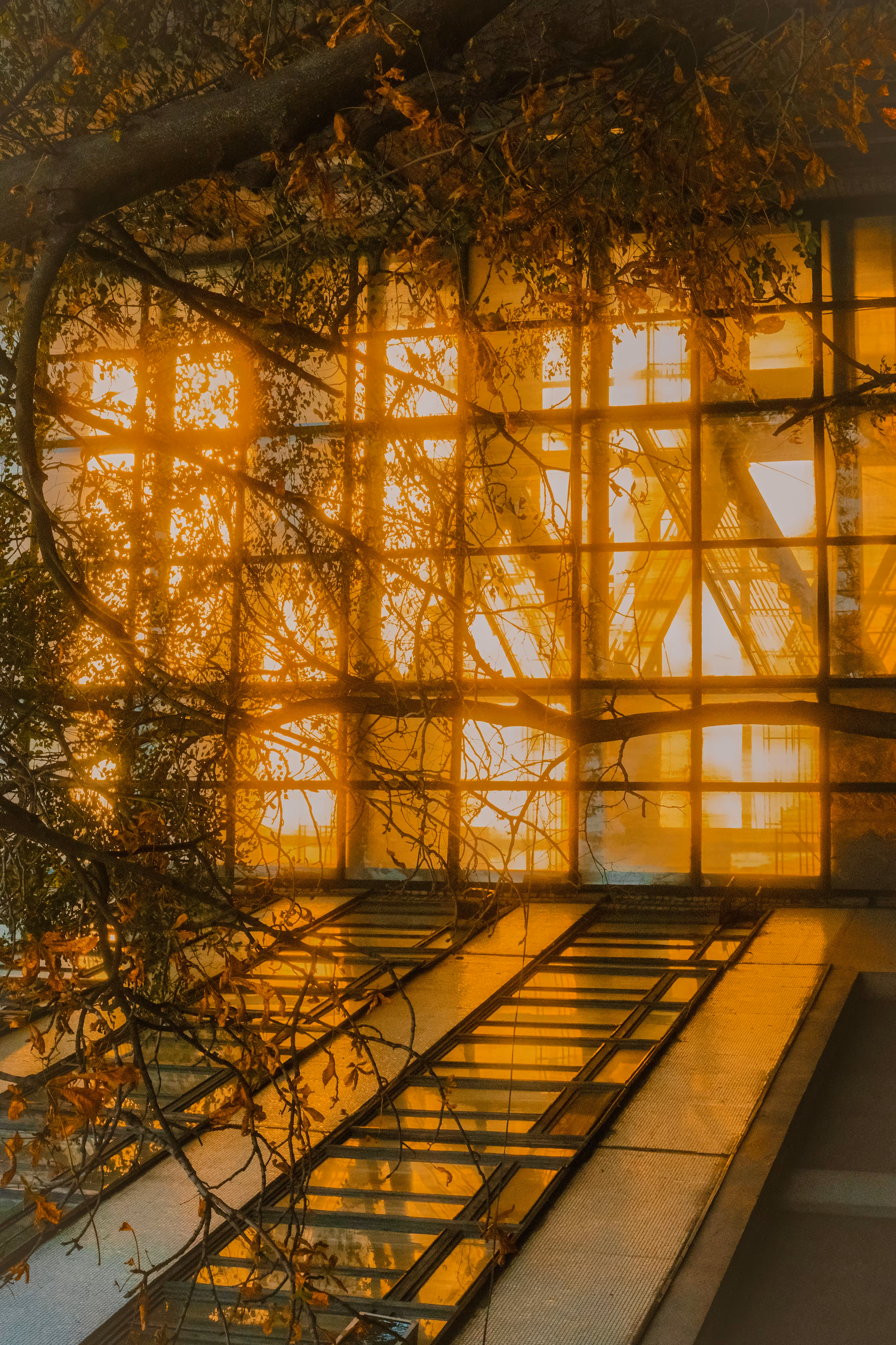 warmth of the autumn sun