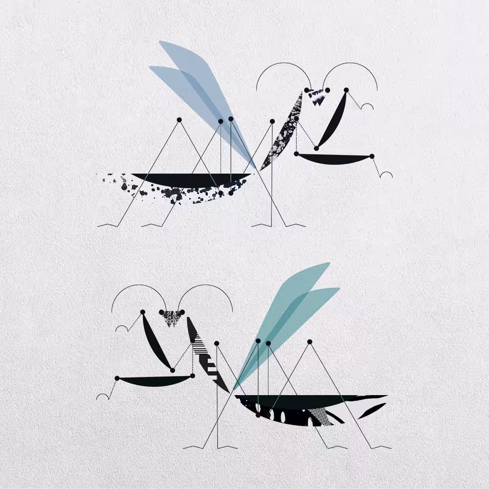 Mantis Abstraction #15