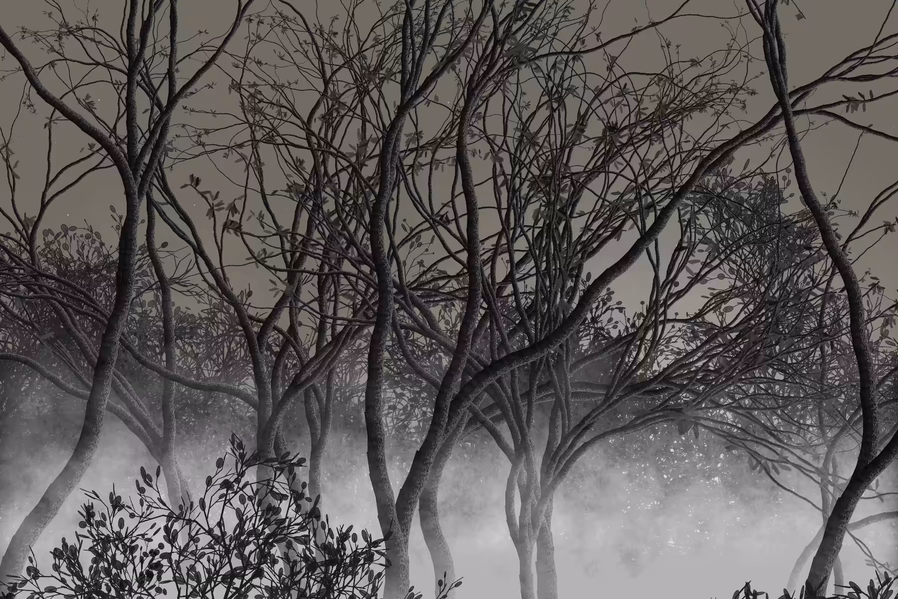 Morning Mist #129