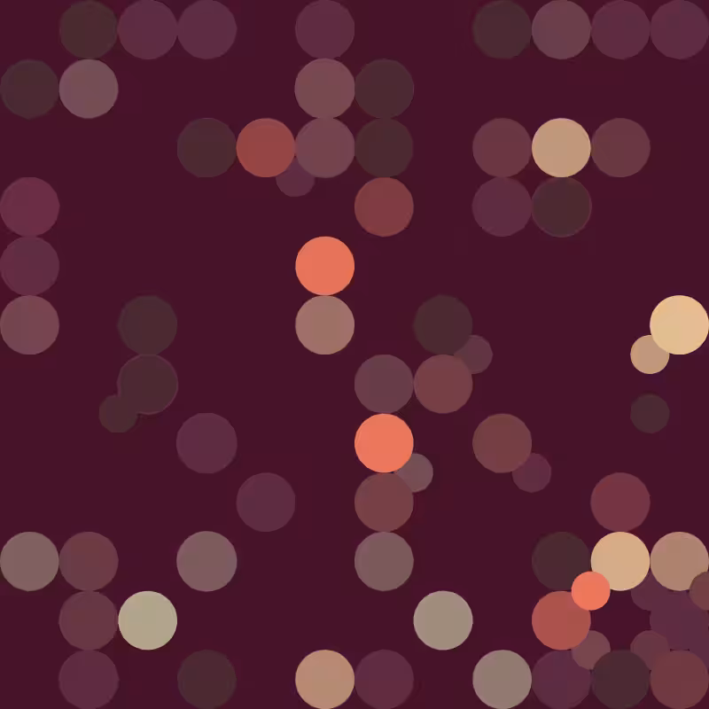 circolution #2