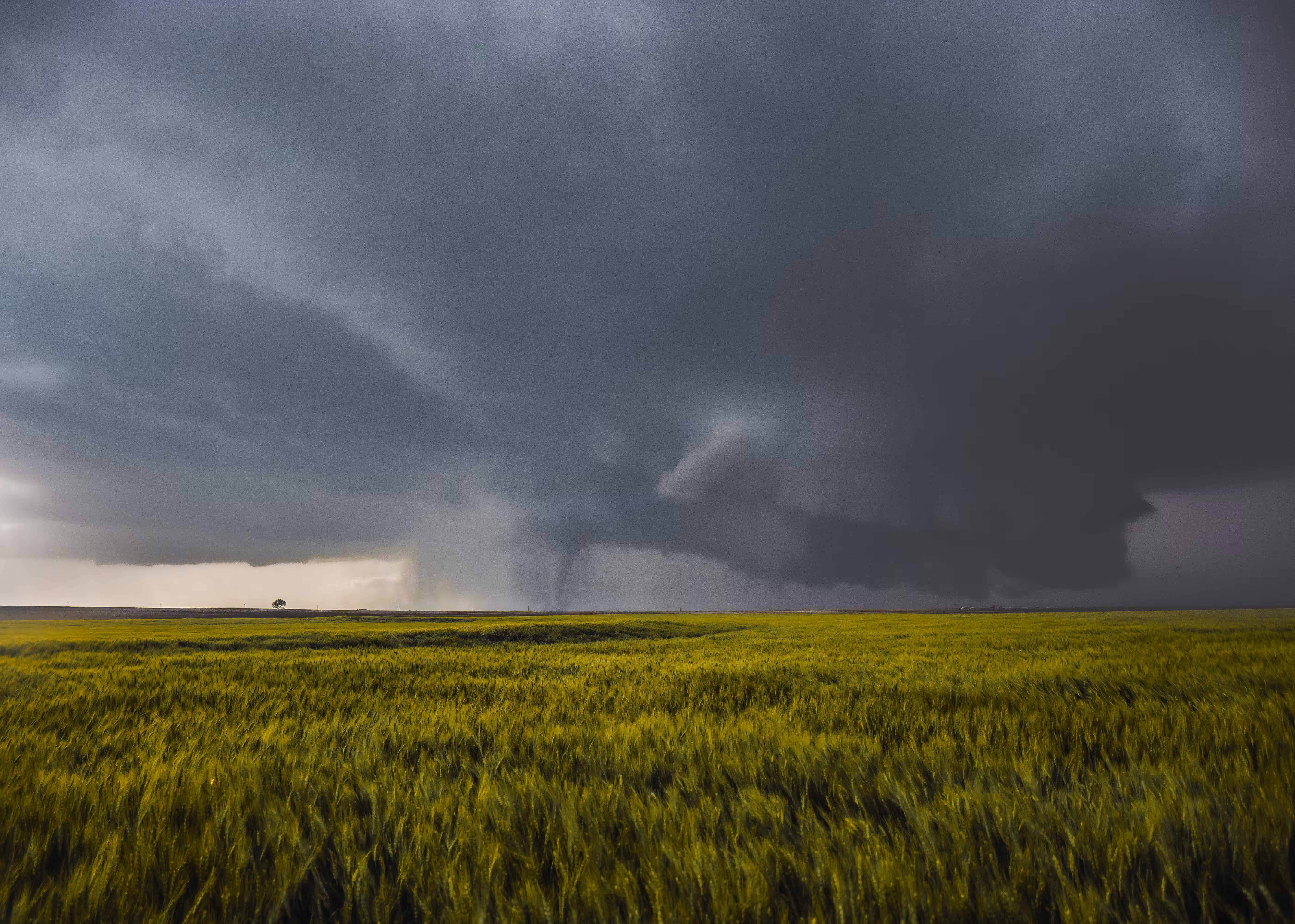 Kansas Twister 