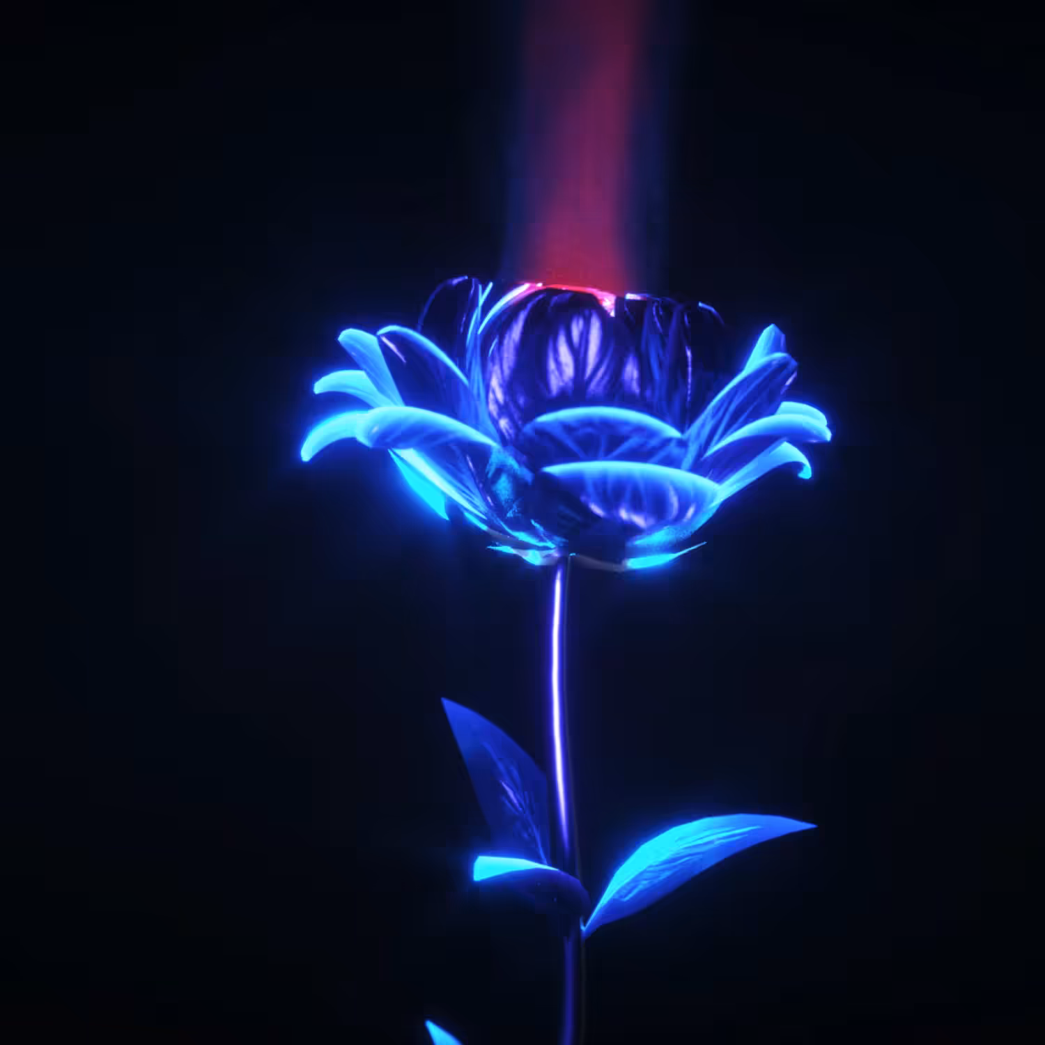Digital Rose
