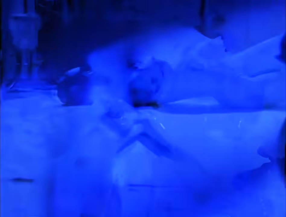 Body blue-print, part II