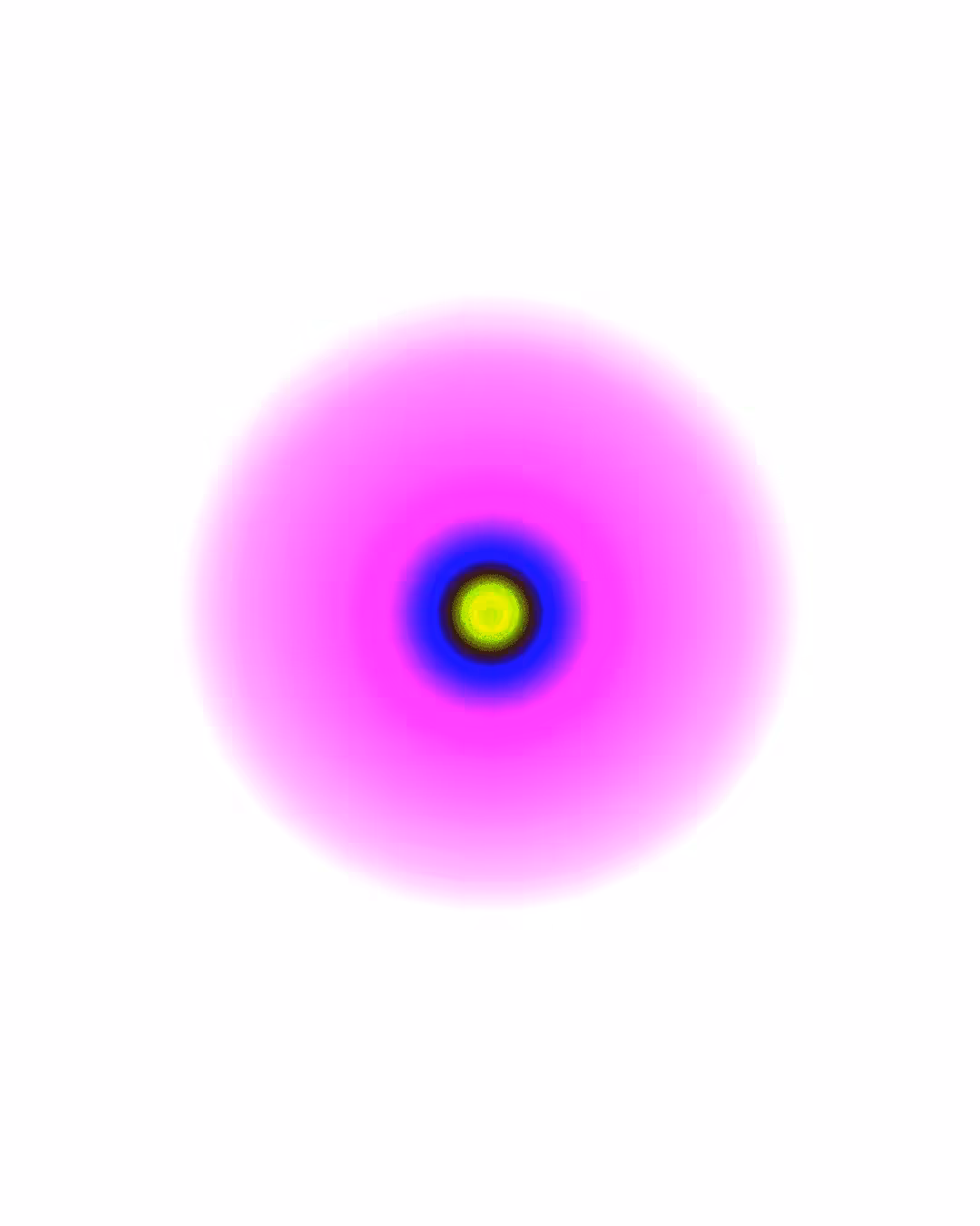 -Spectrum-: SPECTRUM 204