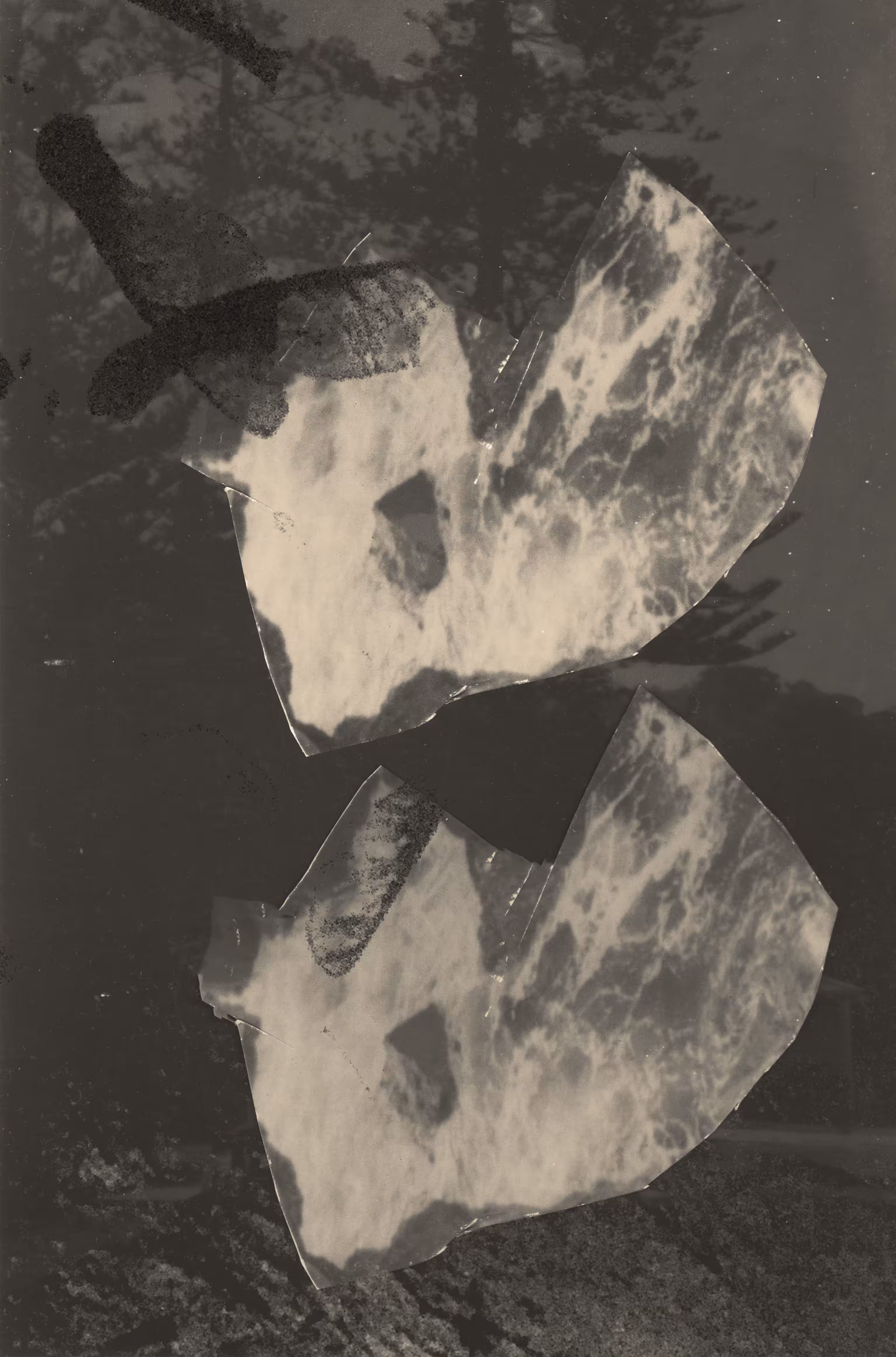 Untitled #8