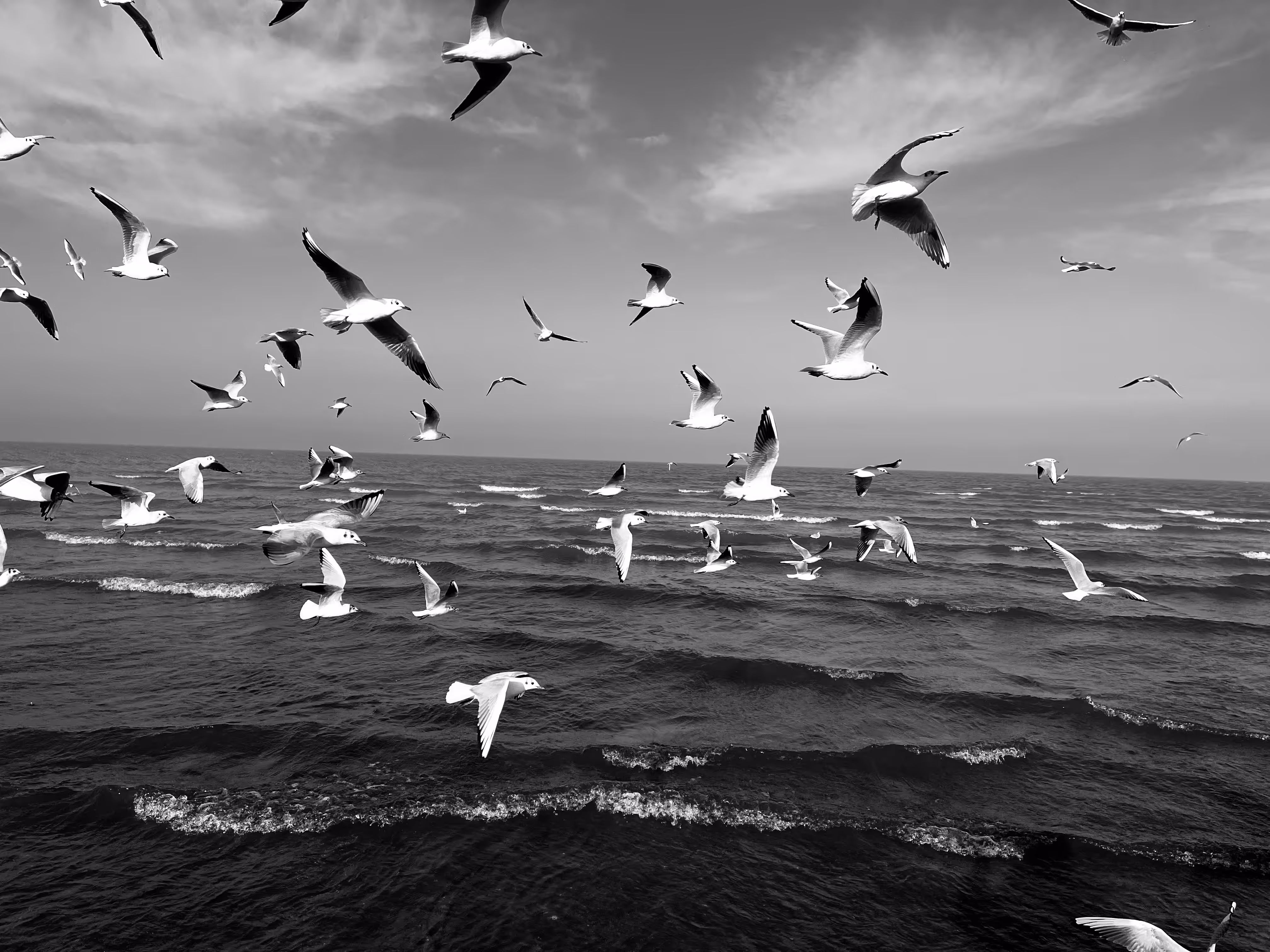 Flight