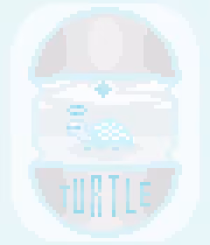 TURTLE 'ANGEL 0'