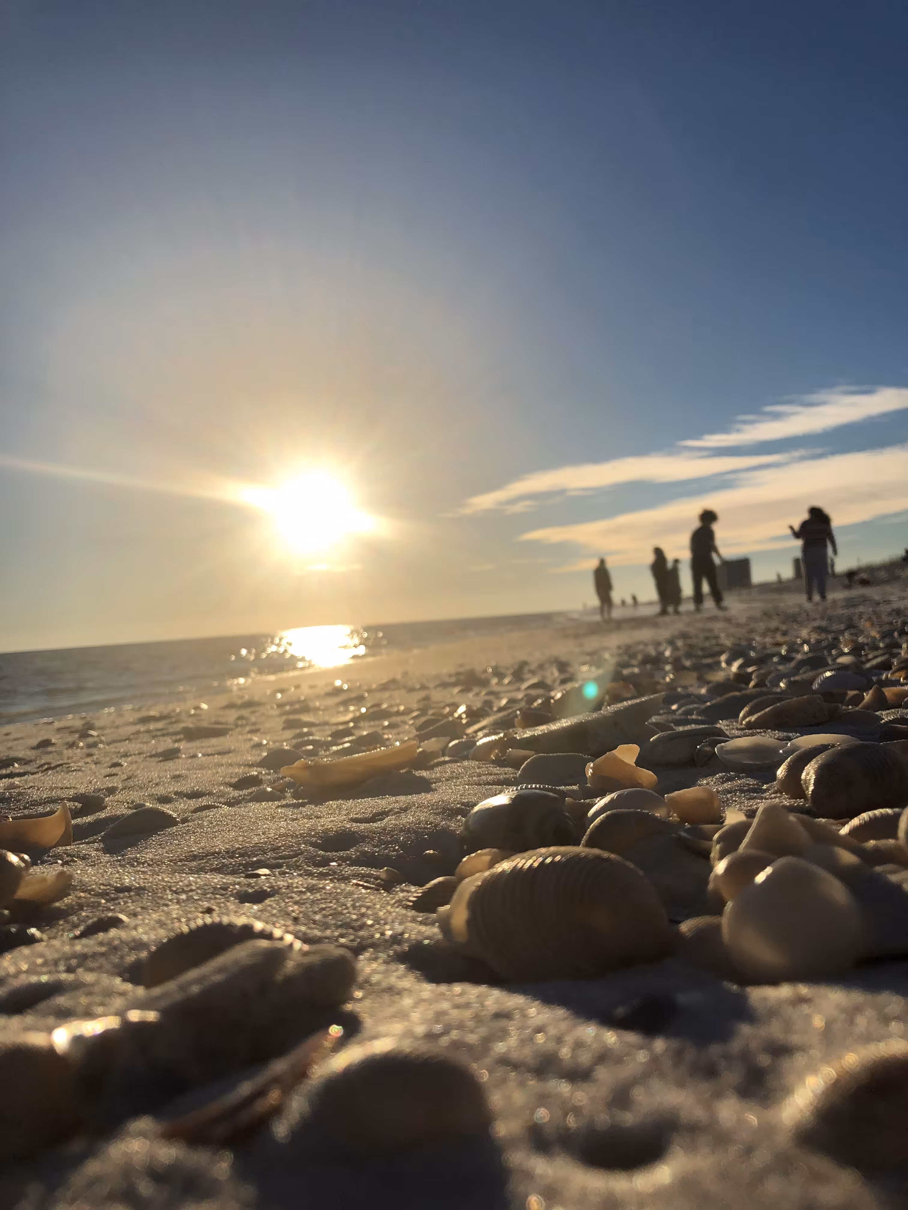 Shells