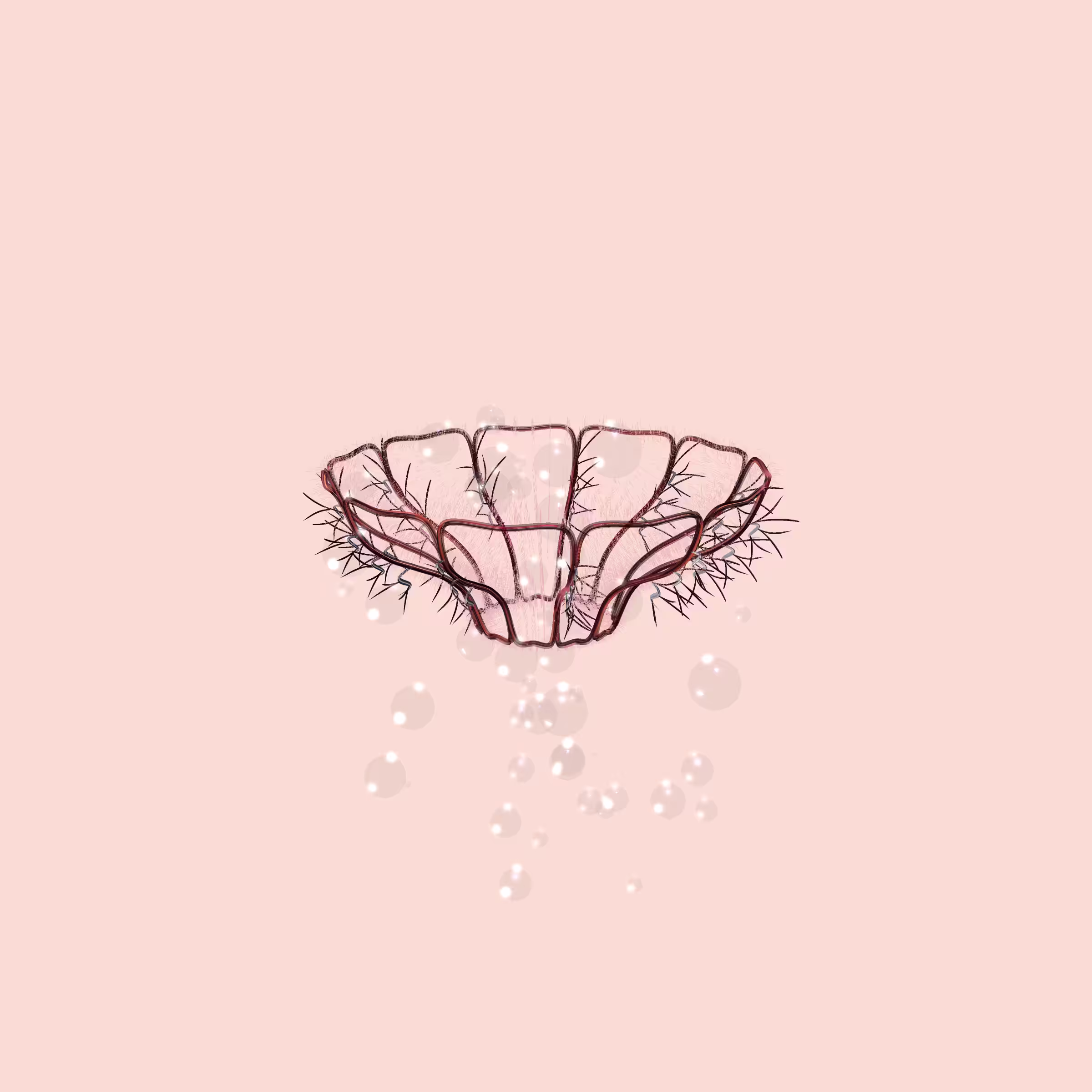 Lycorises #79