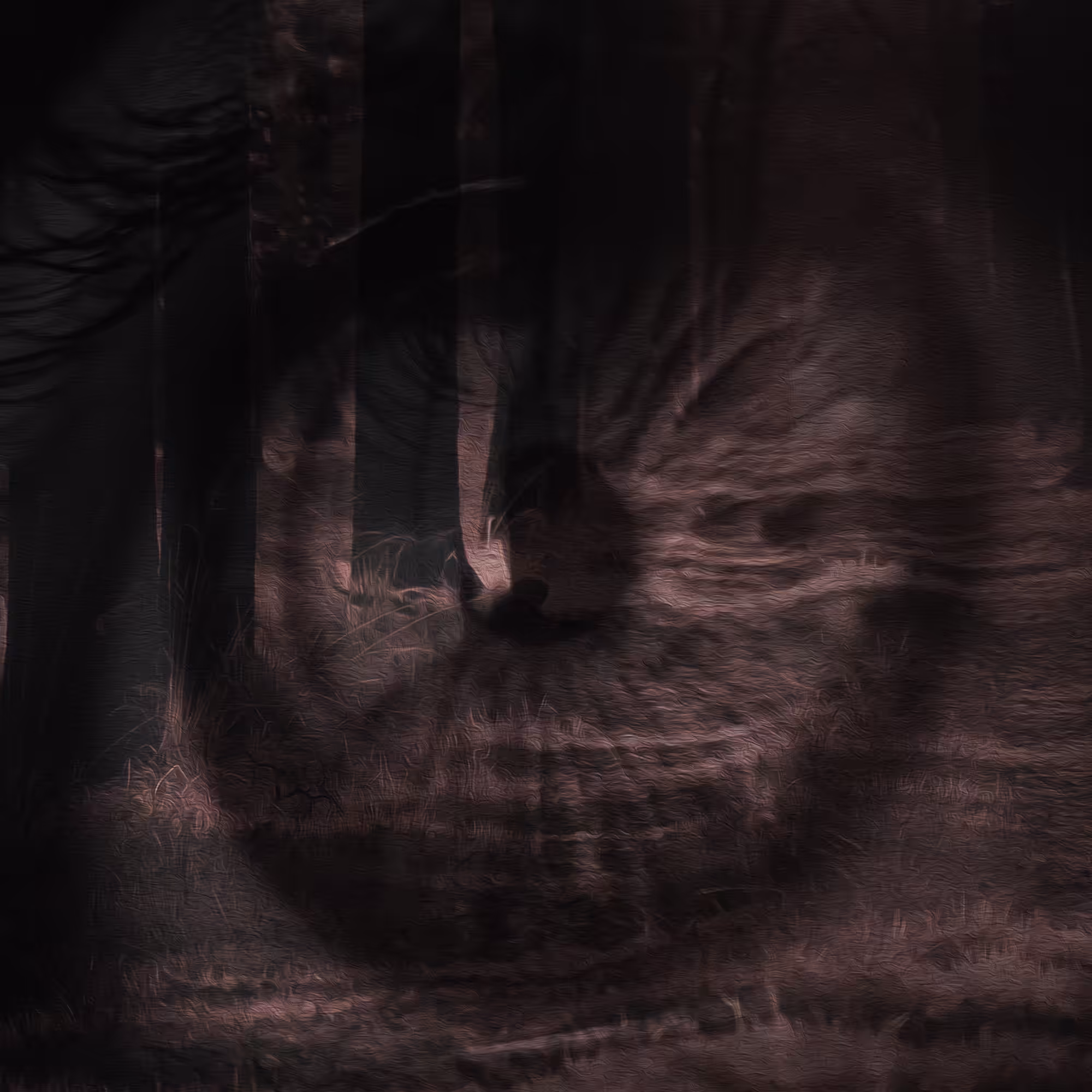 Mystic Eye