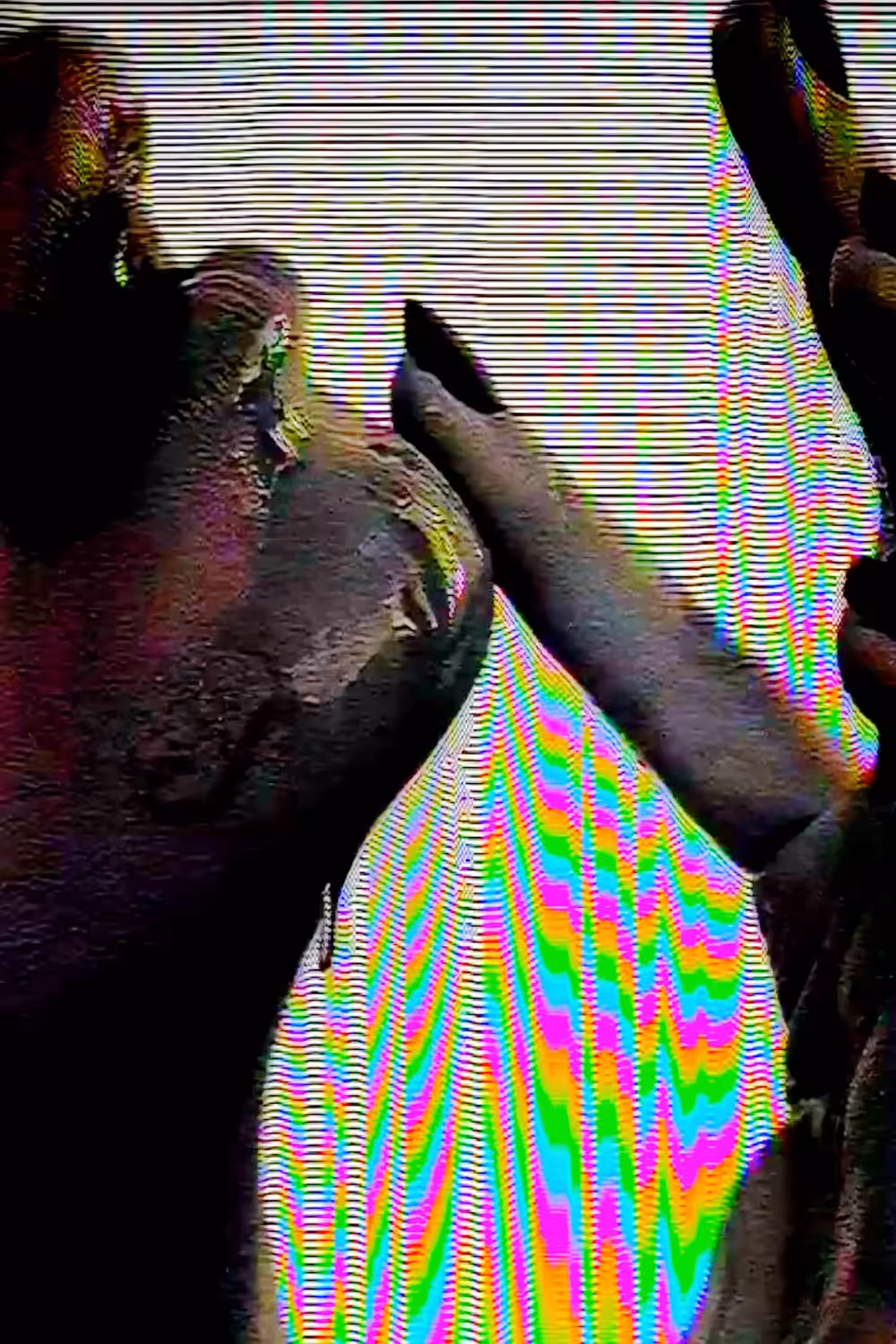 T̶A̶S̵T̷Y̸̓