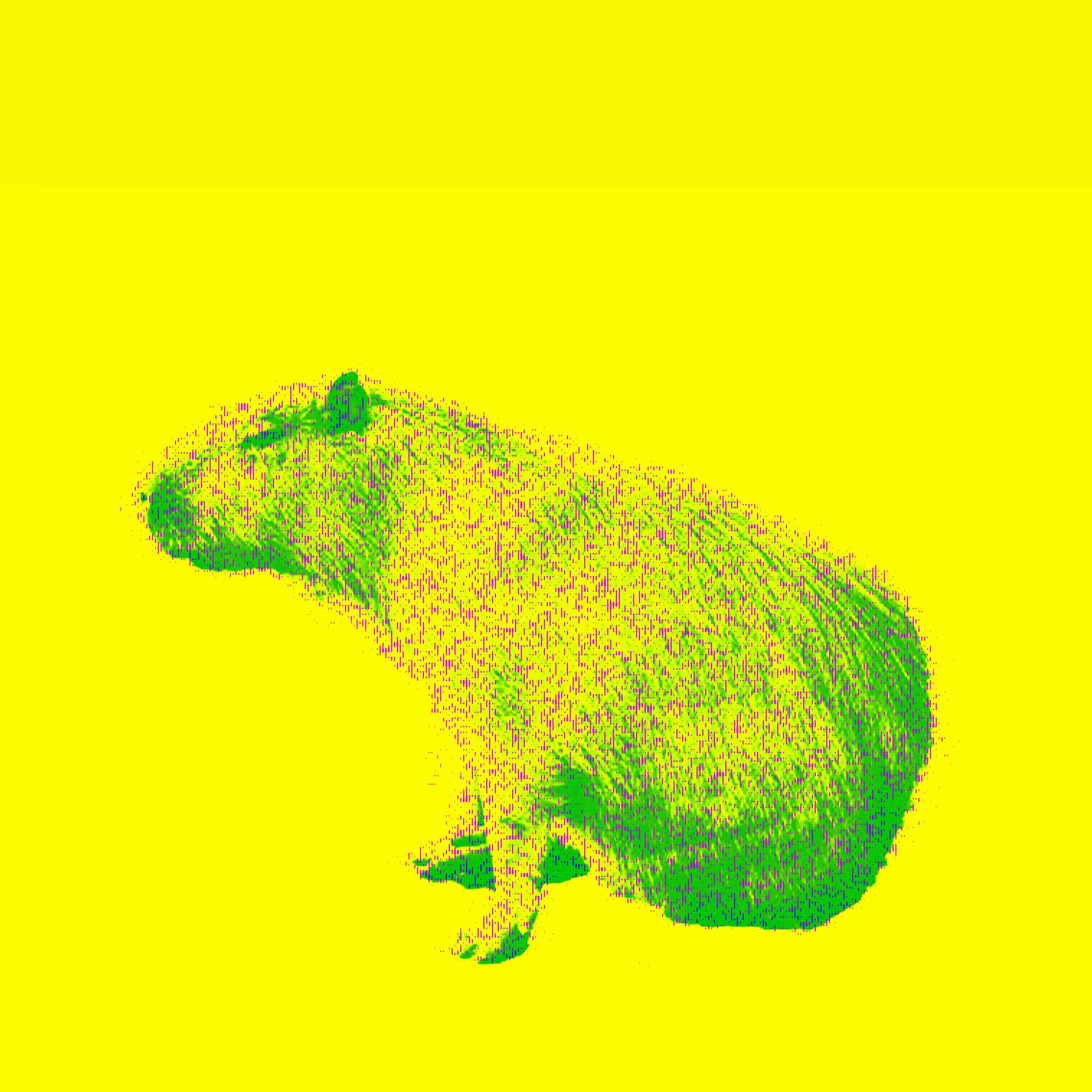 The Capybaras of Ipaussu [ Descolada // Yellow bb, 03L ]