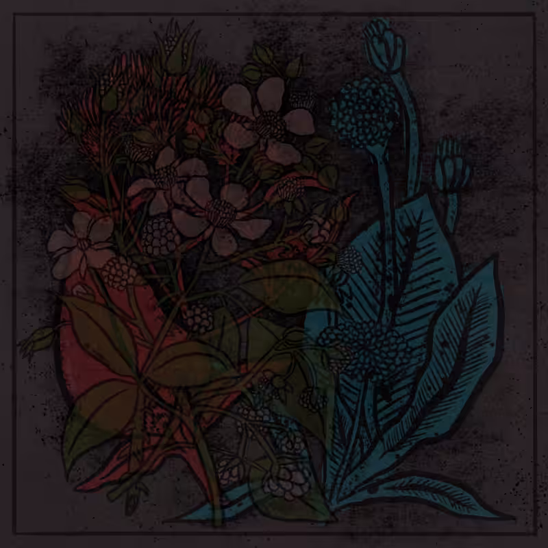 Bouquet #49