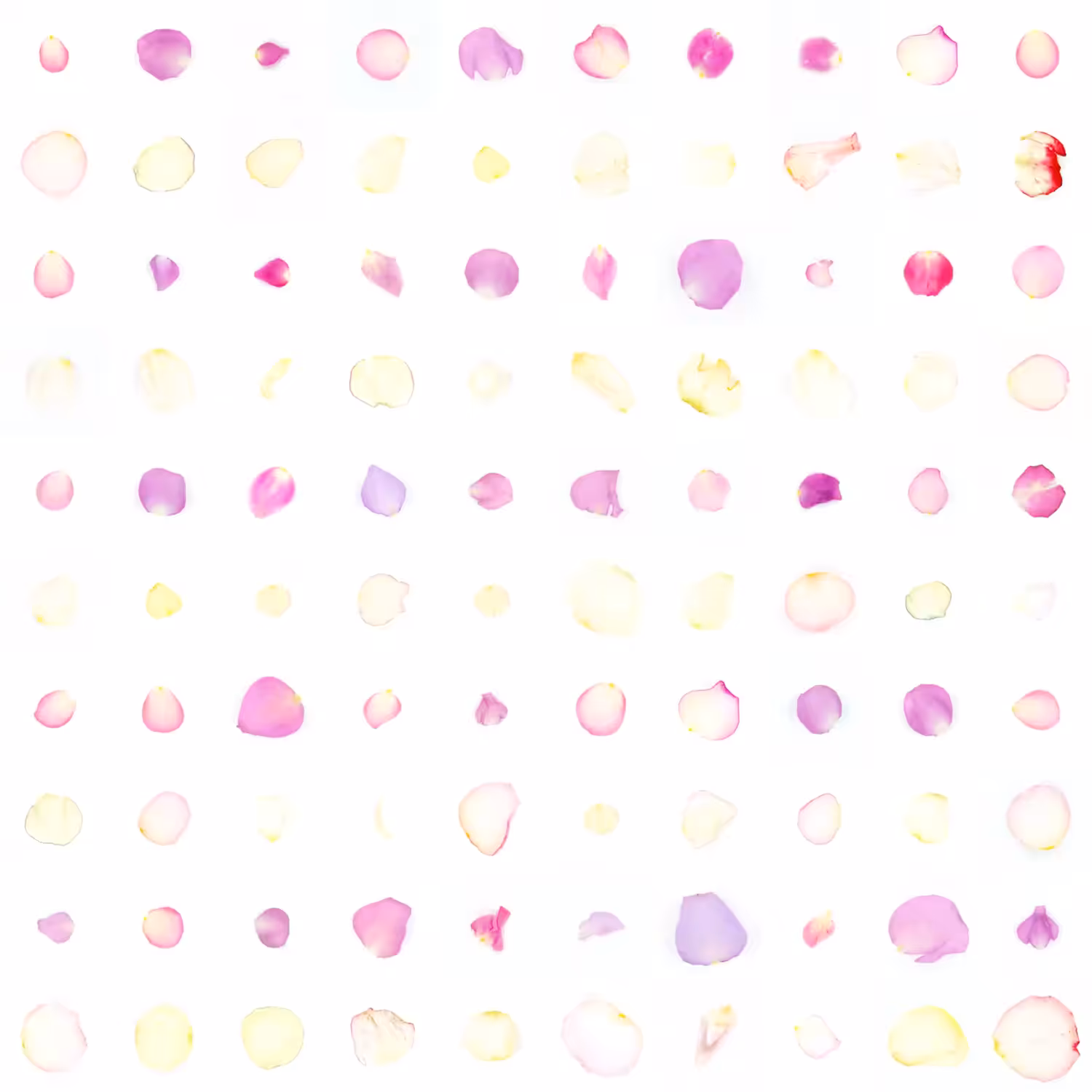 Infinite Petals 10x10#10052