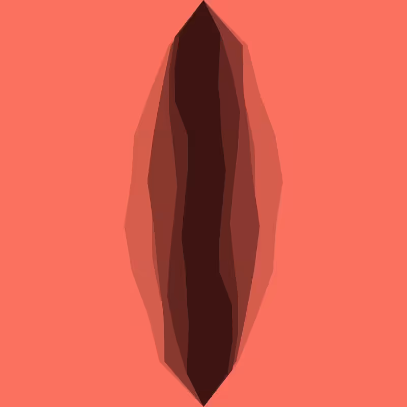 Vaginereitor #1