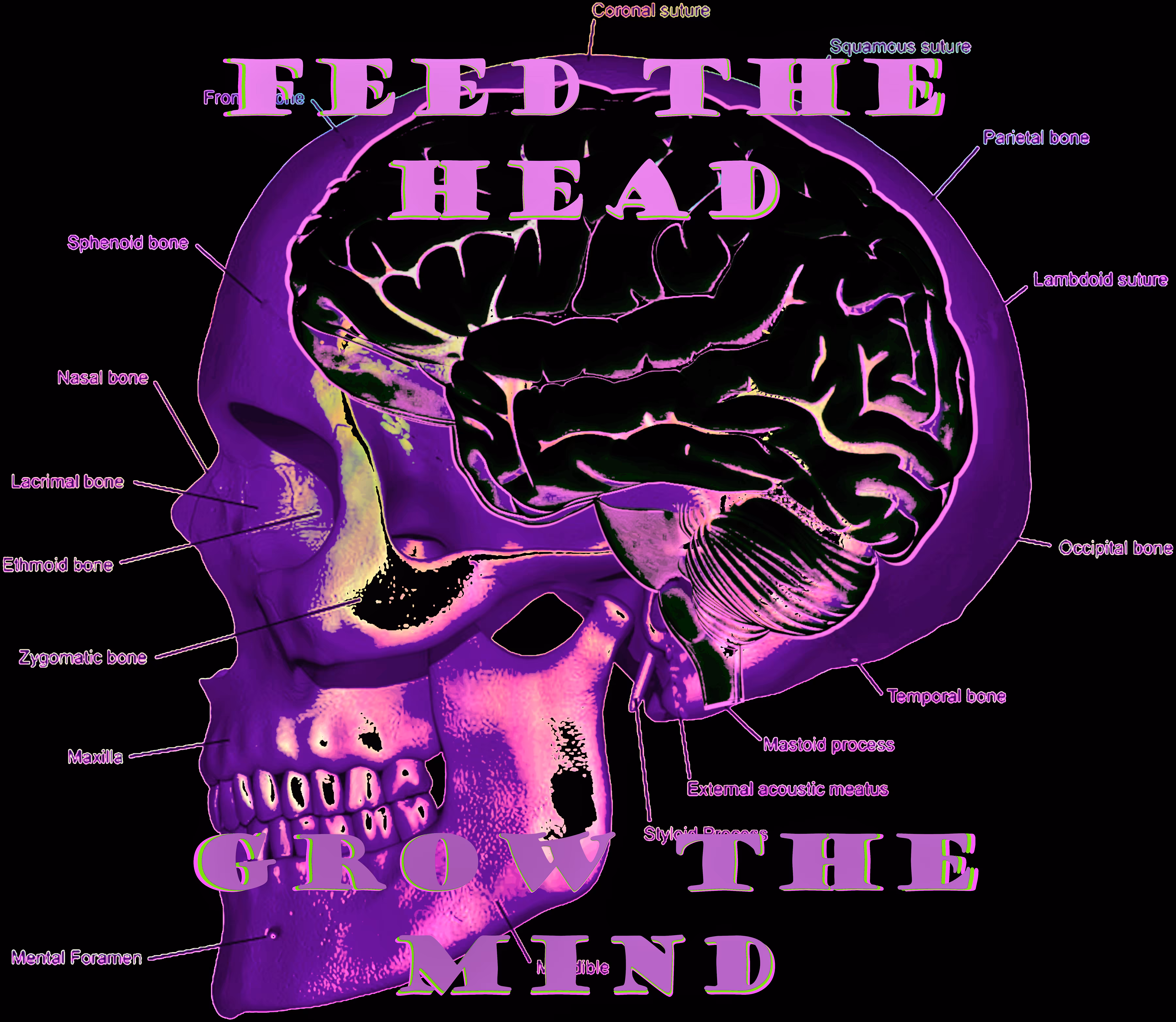 Feed the Head