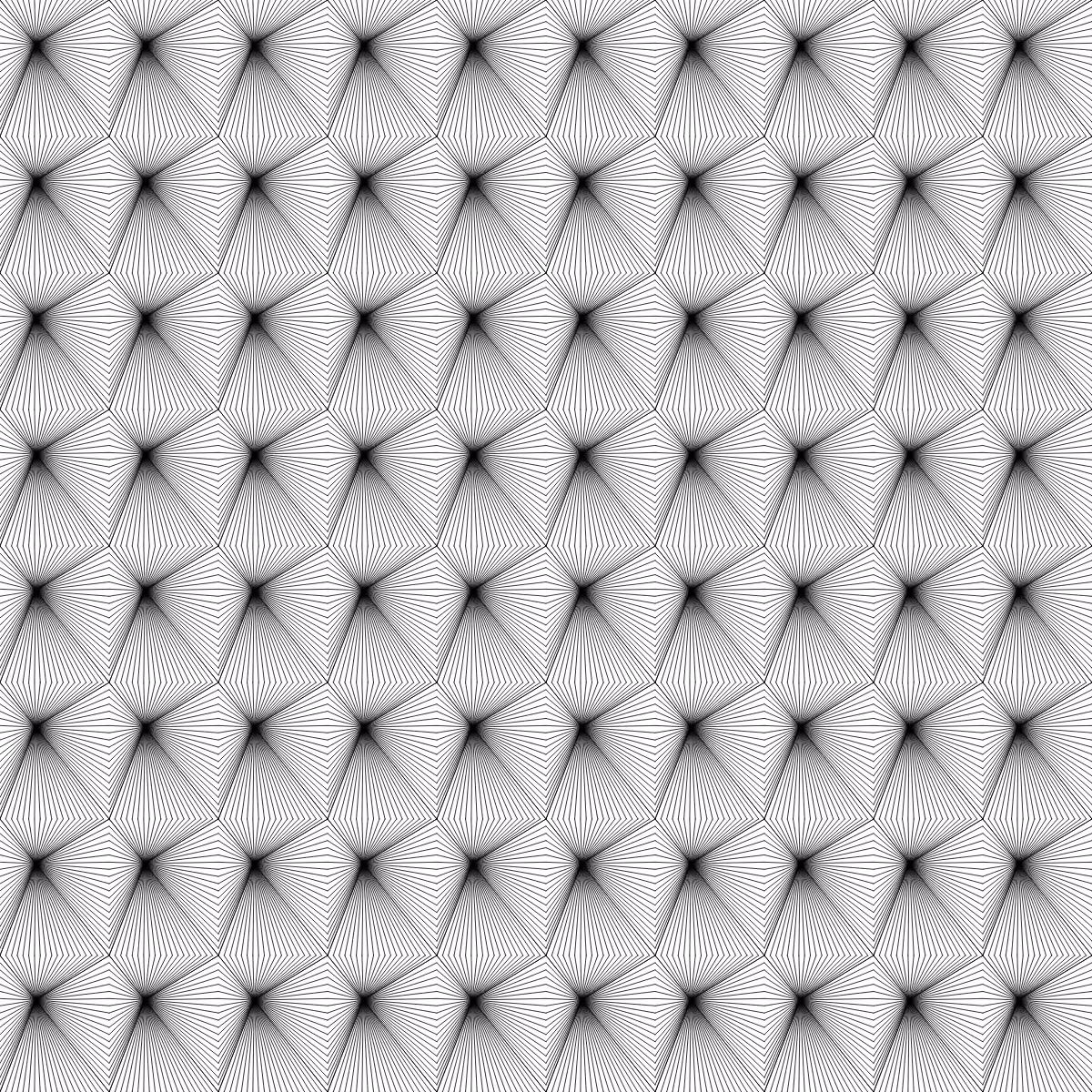 Noir et Blanc #66