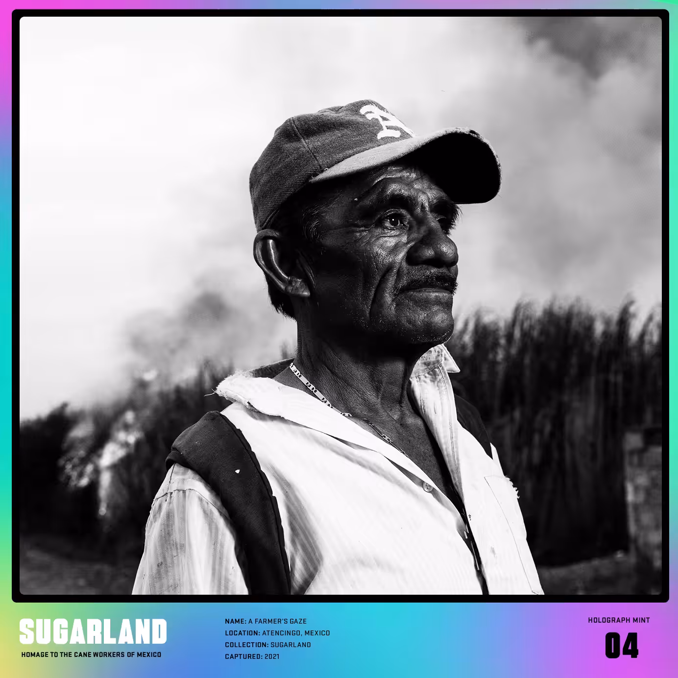 SUGARLAND #4 A FARMER’S GAZE