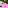 Calico Cat 002
