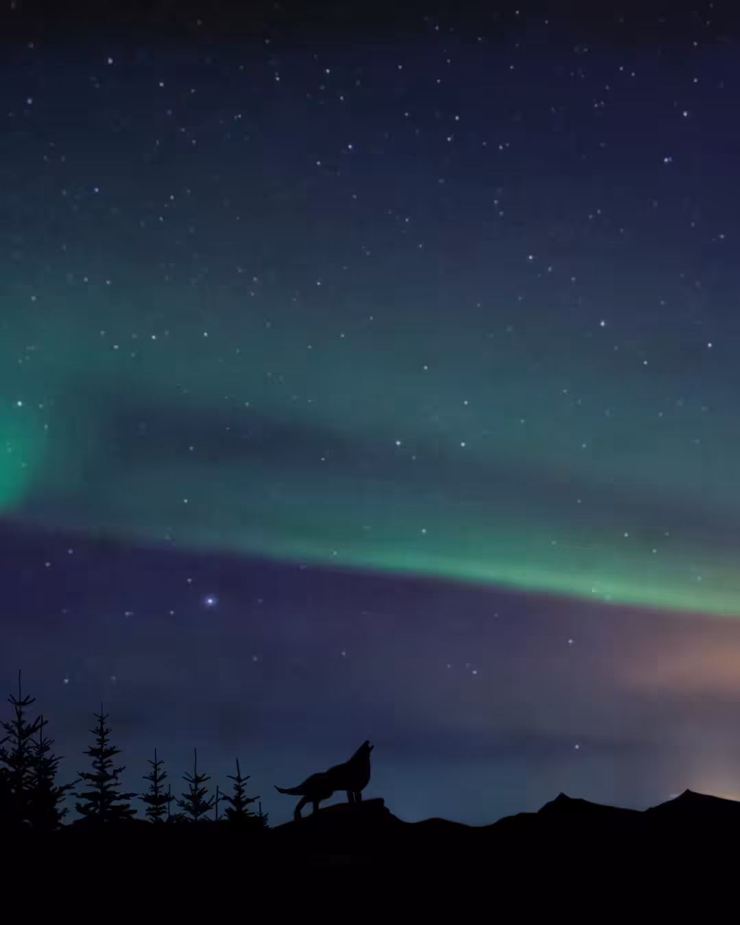 Aurora S02