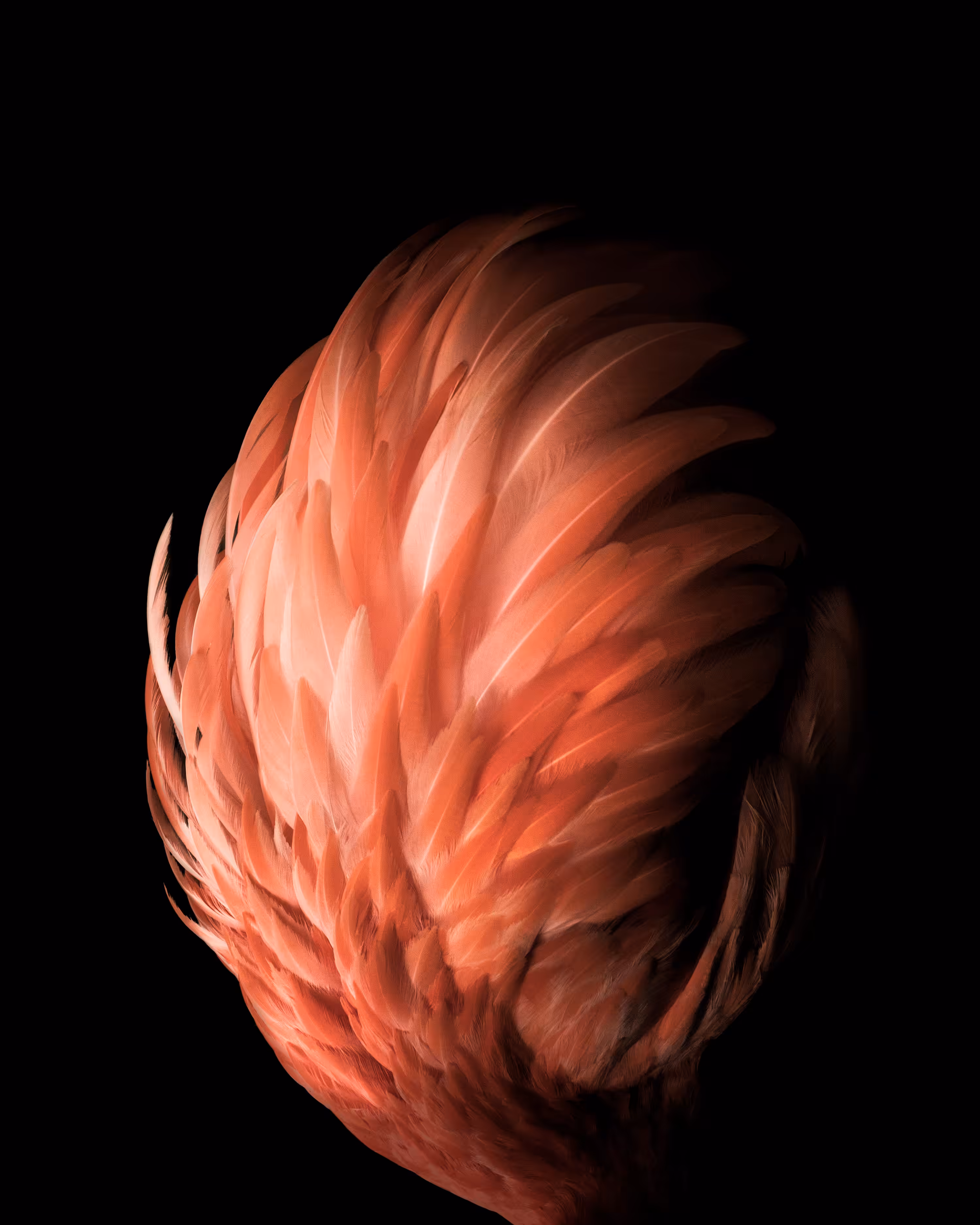Flare