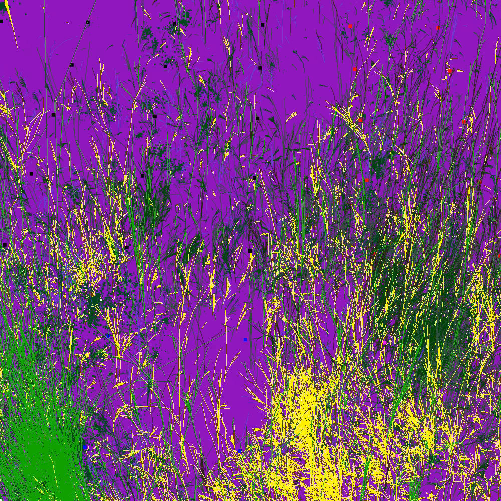 Infinite Garden: 38365 Flowers
