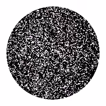 Planet