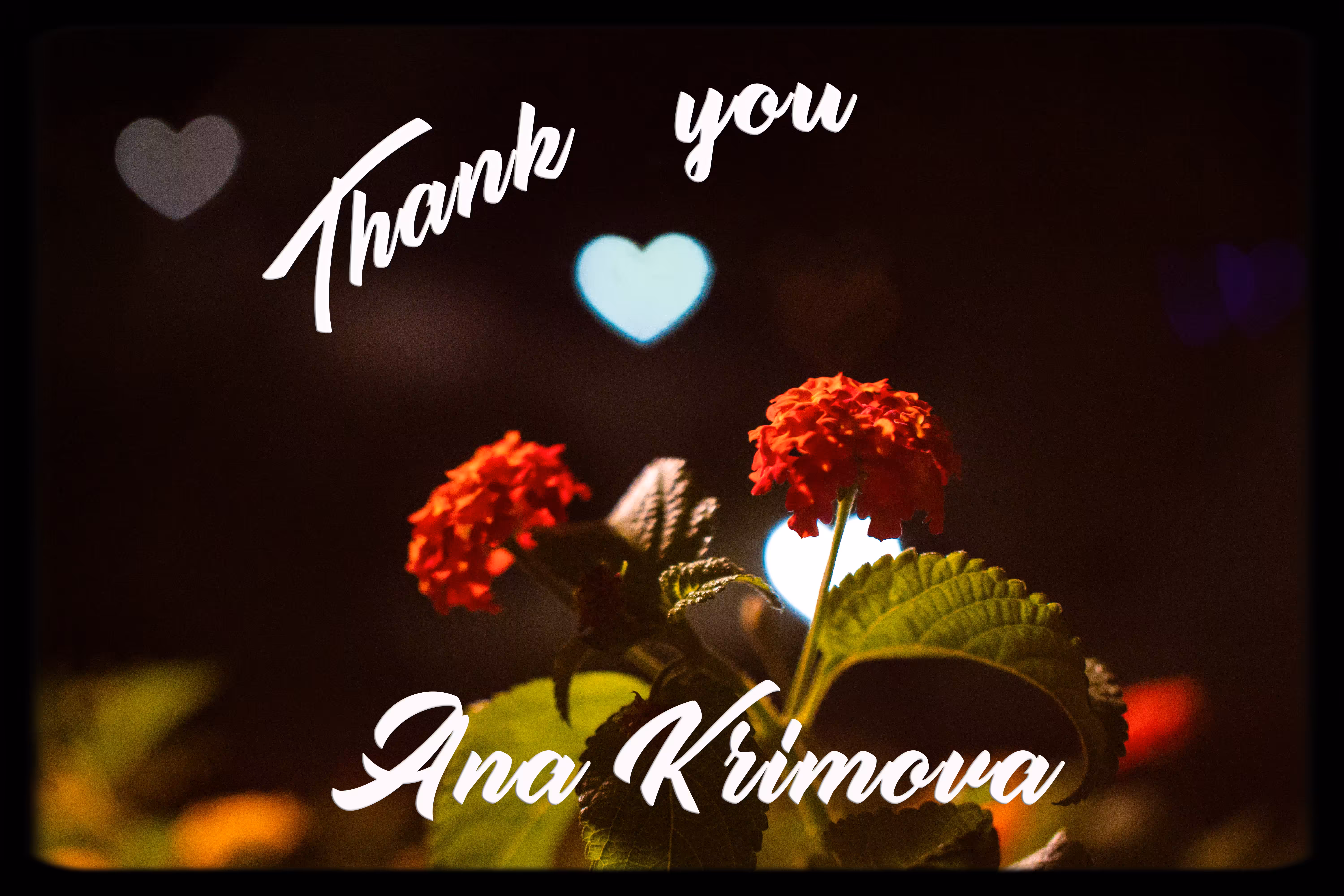 Thank You Ana Krimova