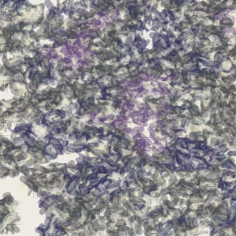 Petri 1500 #50