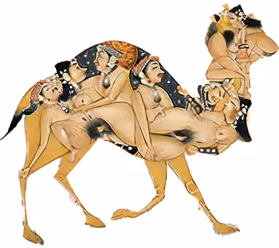 Composite Art: Kama Sutra Kinky Camel Composite Art