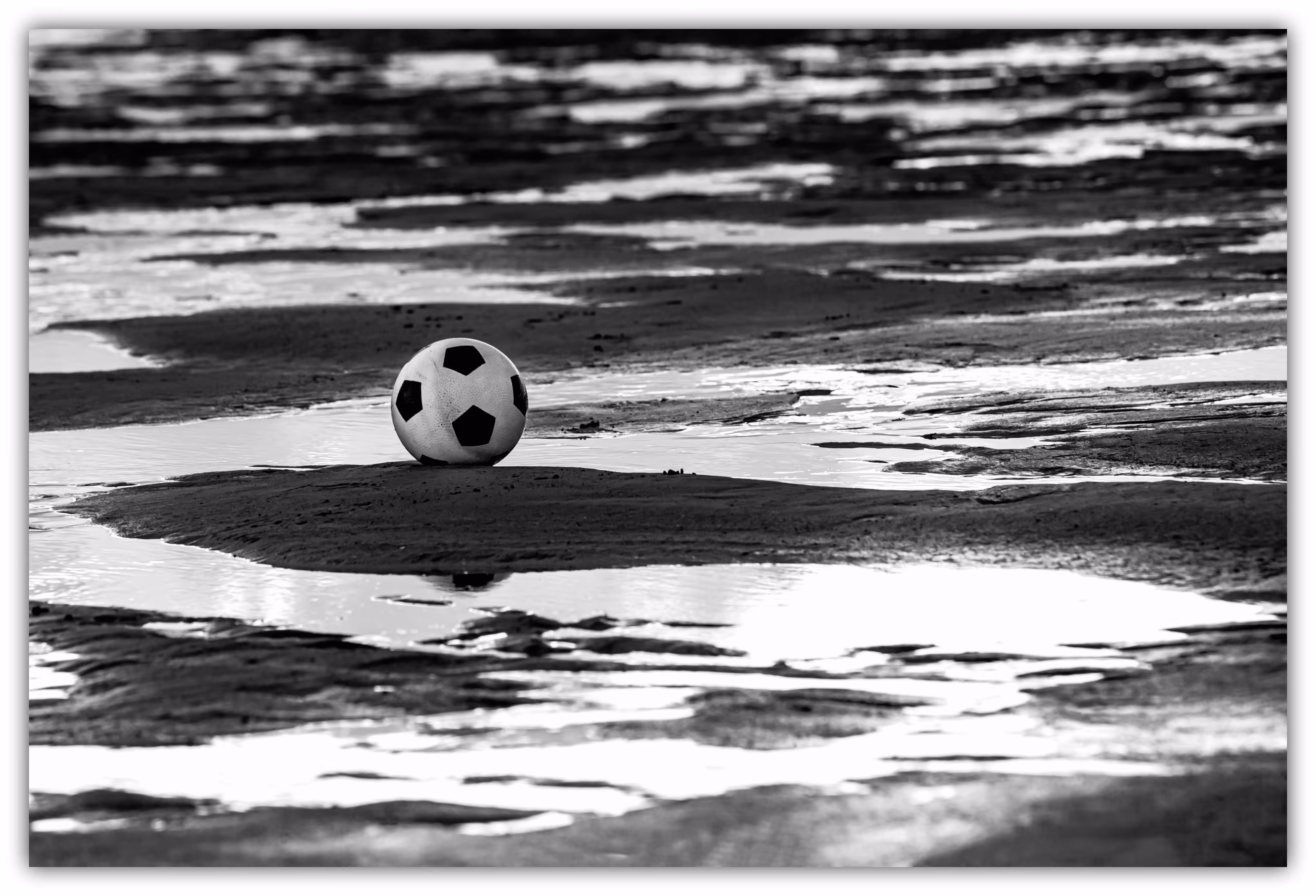 stray ball.