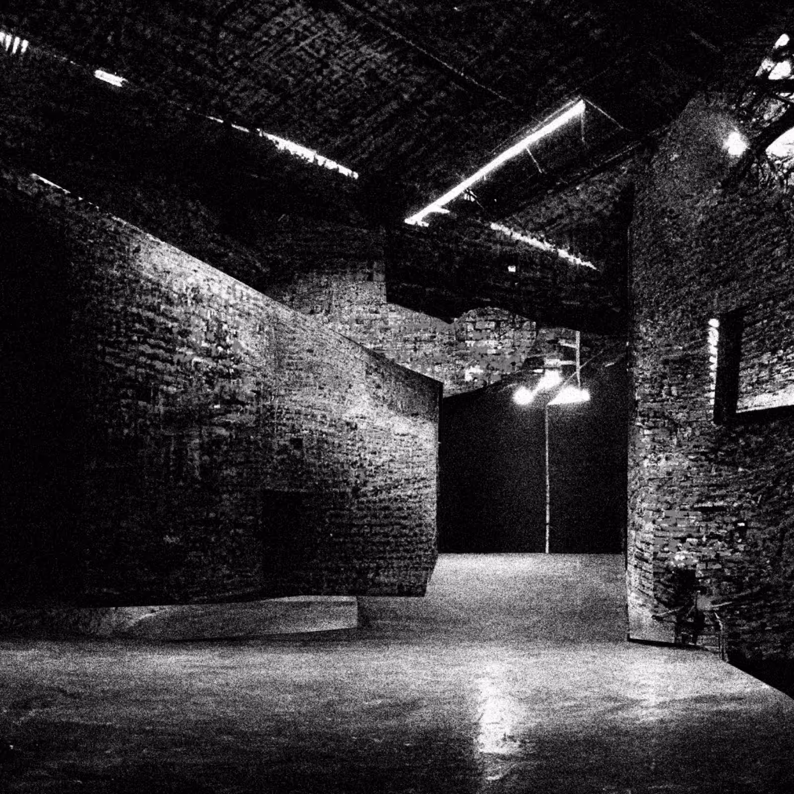 Liminal Newberry #69