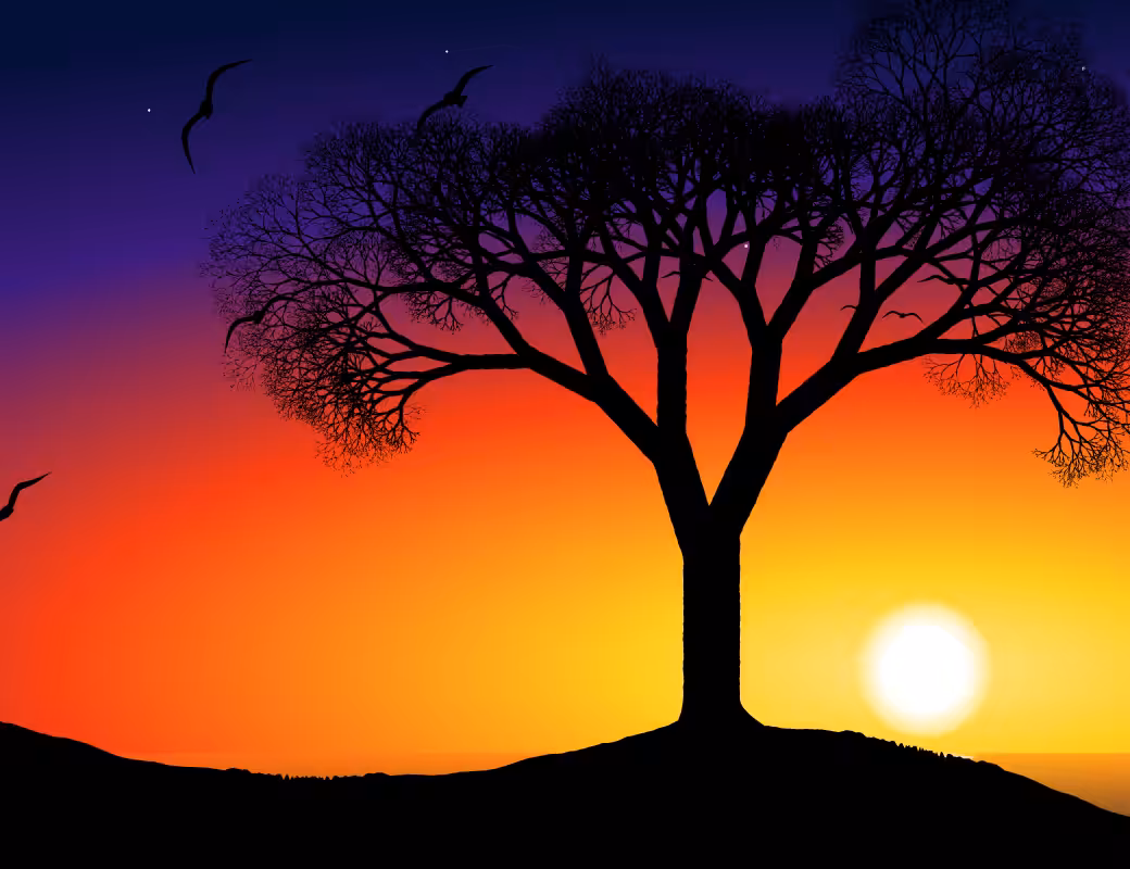 This Tree #1
