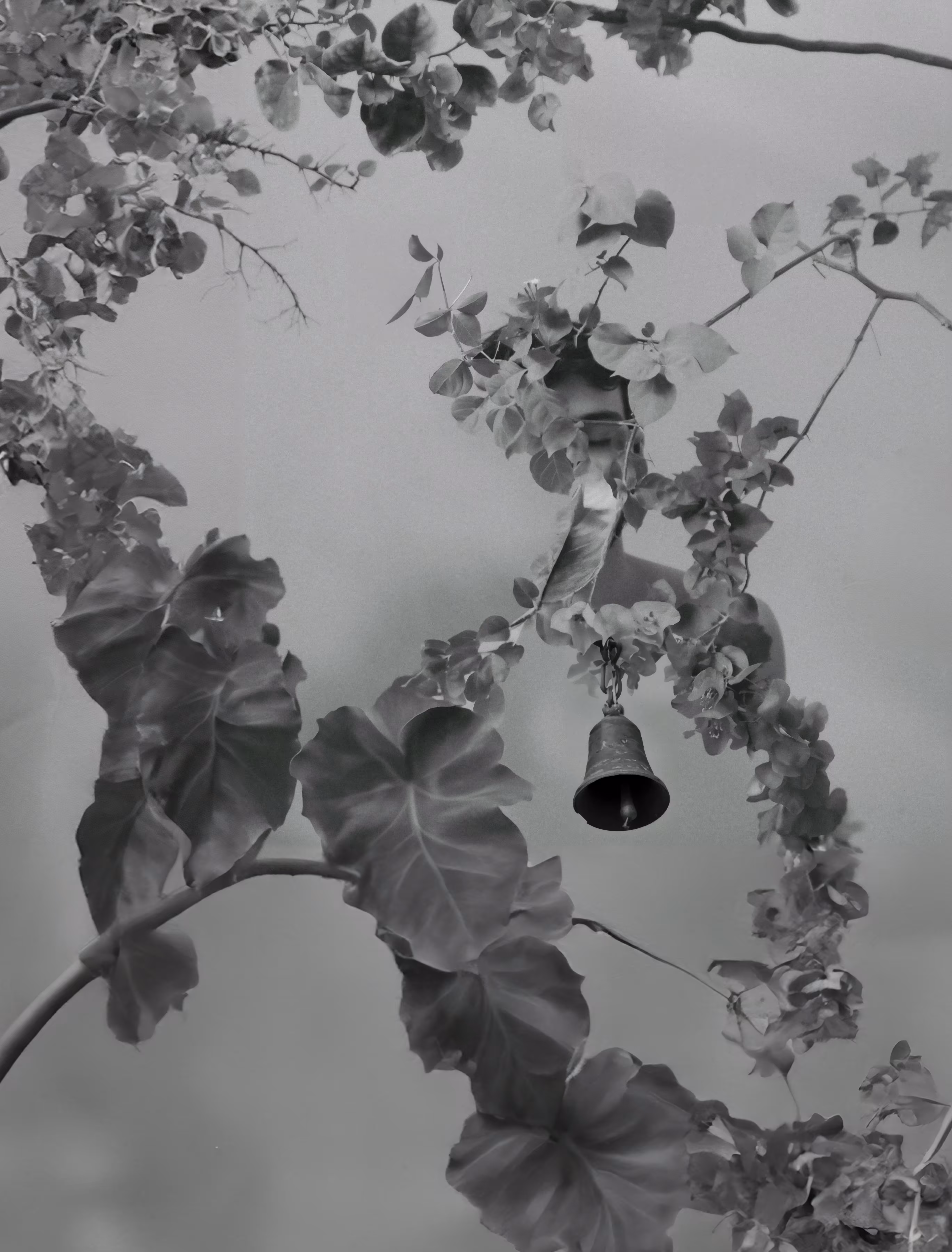 Ineffable Reverie