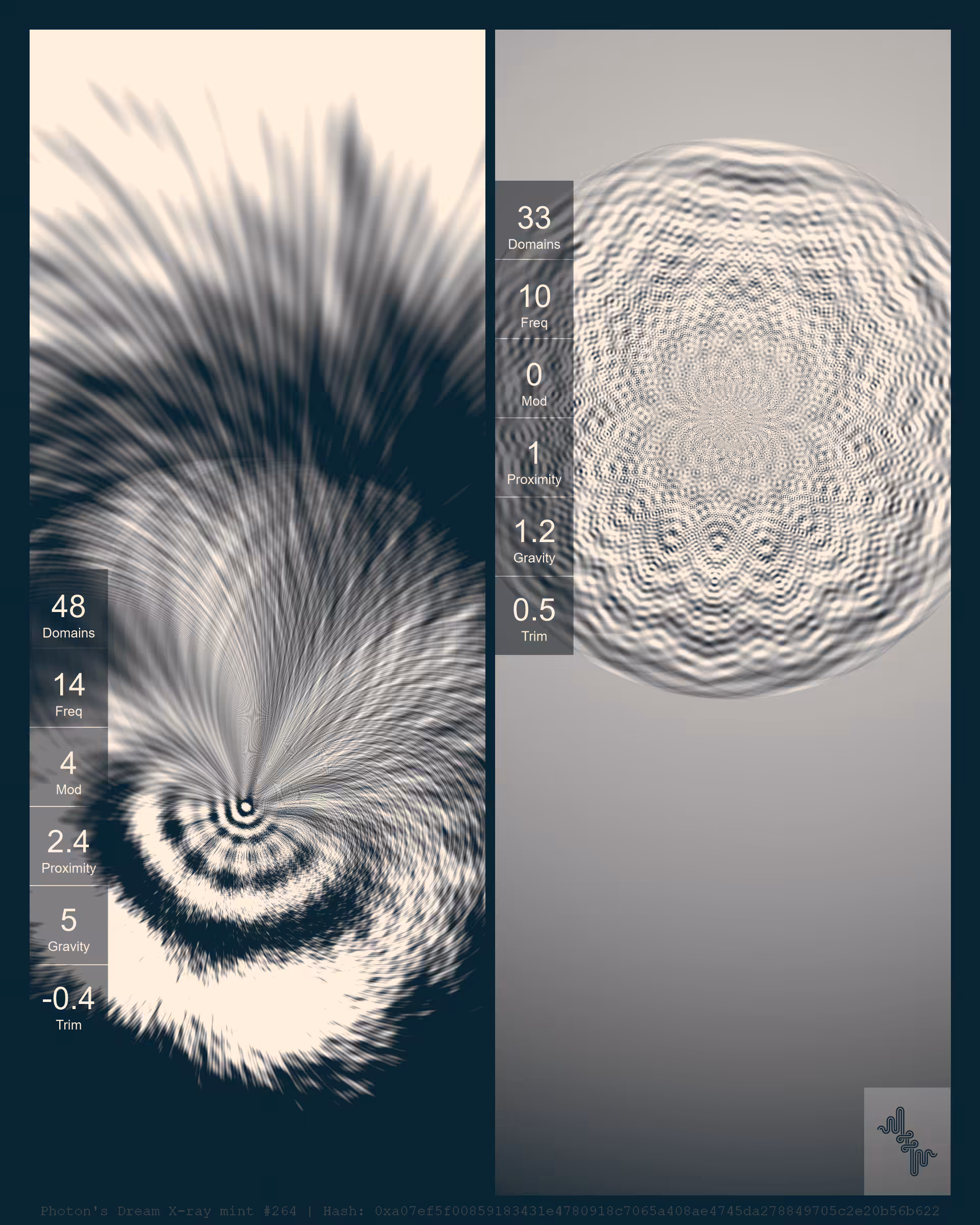 Photon's Dream X-rays by Harvey Rayner: Photon's Dream X-ray mint#264