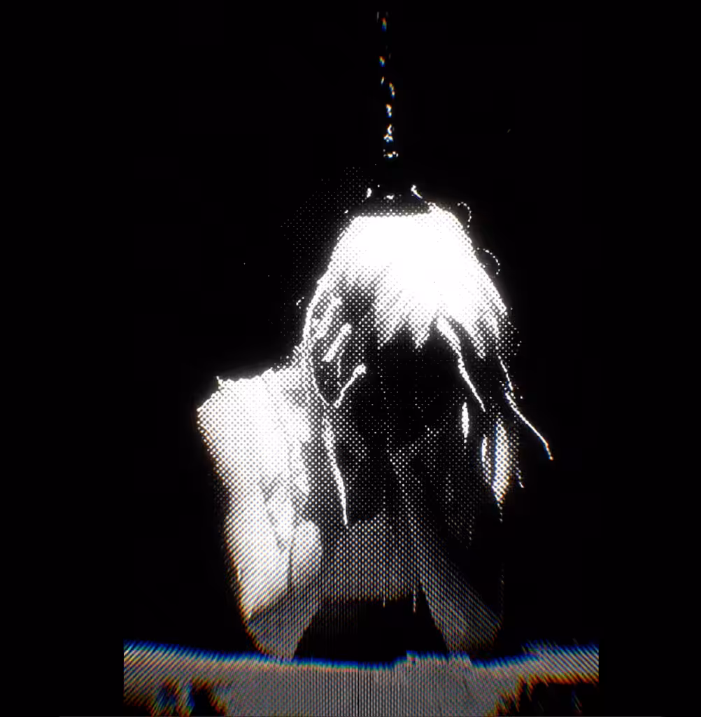 Confess