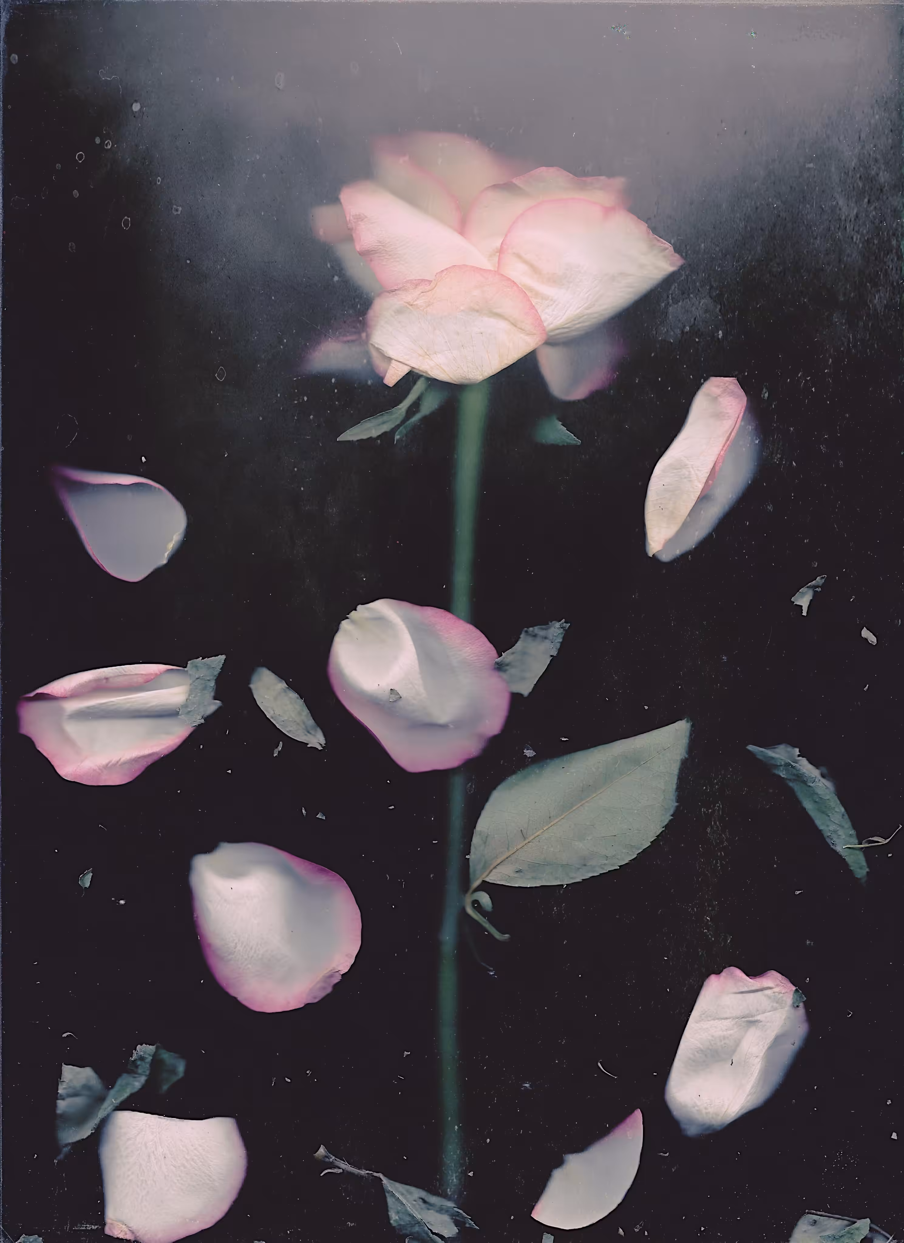 broken promises 