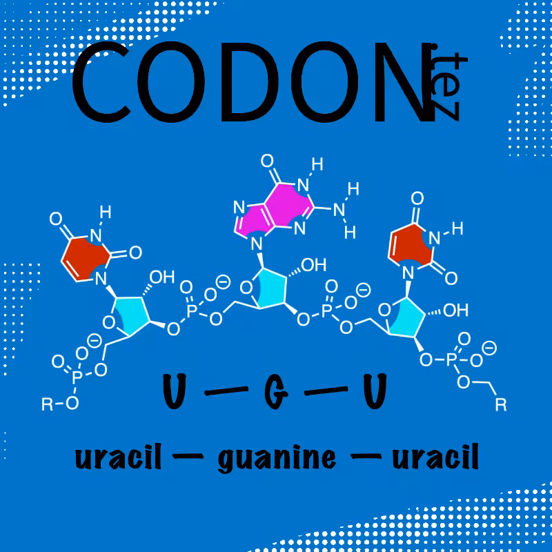 Codon Minter #32