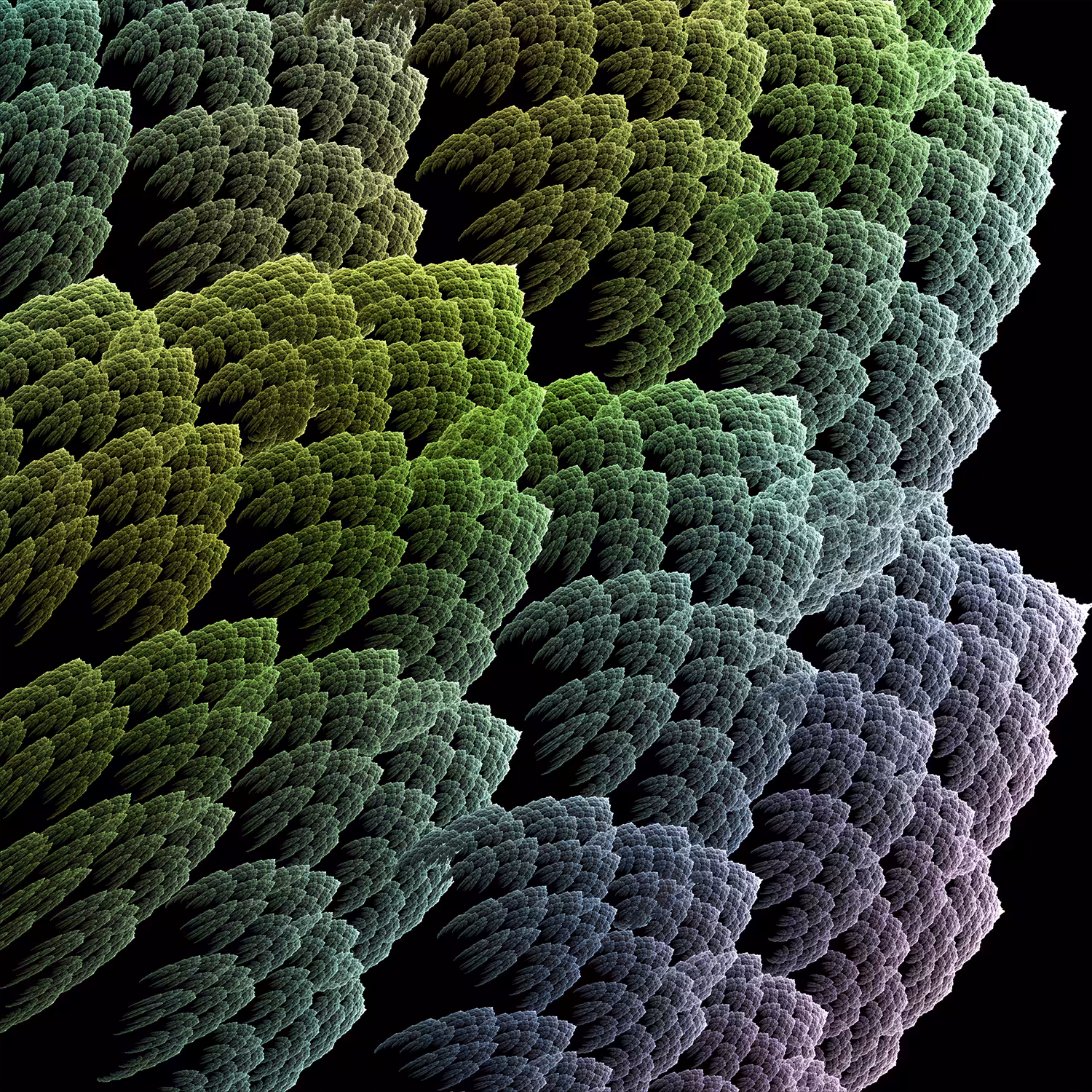 Quilt