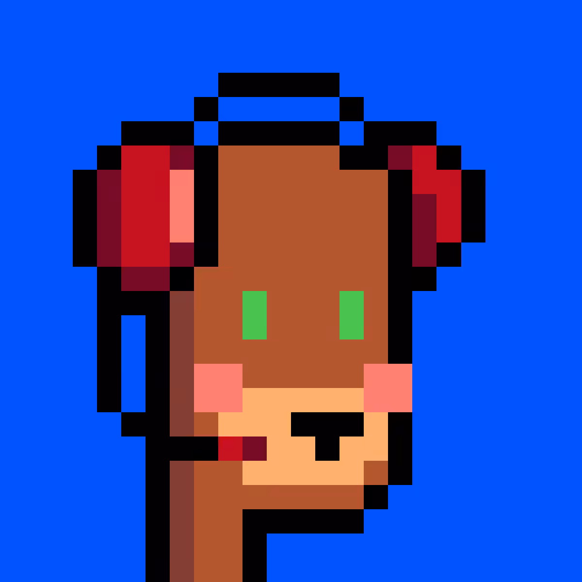 BearPunks #1011