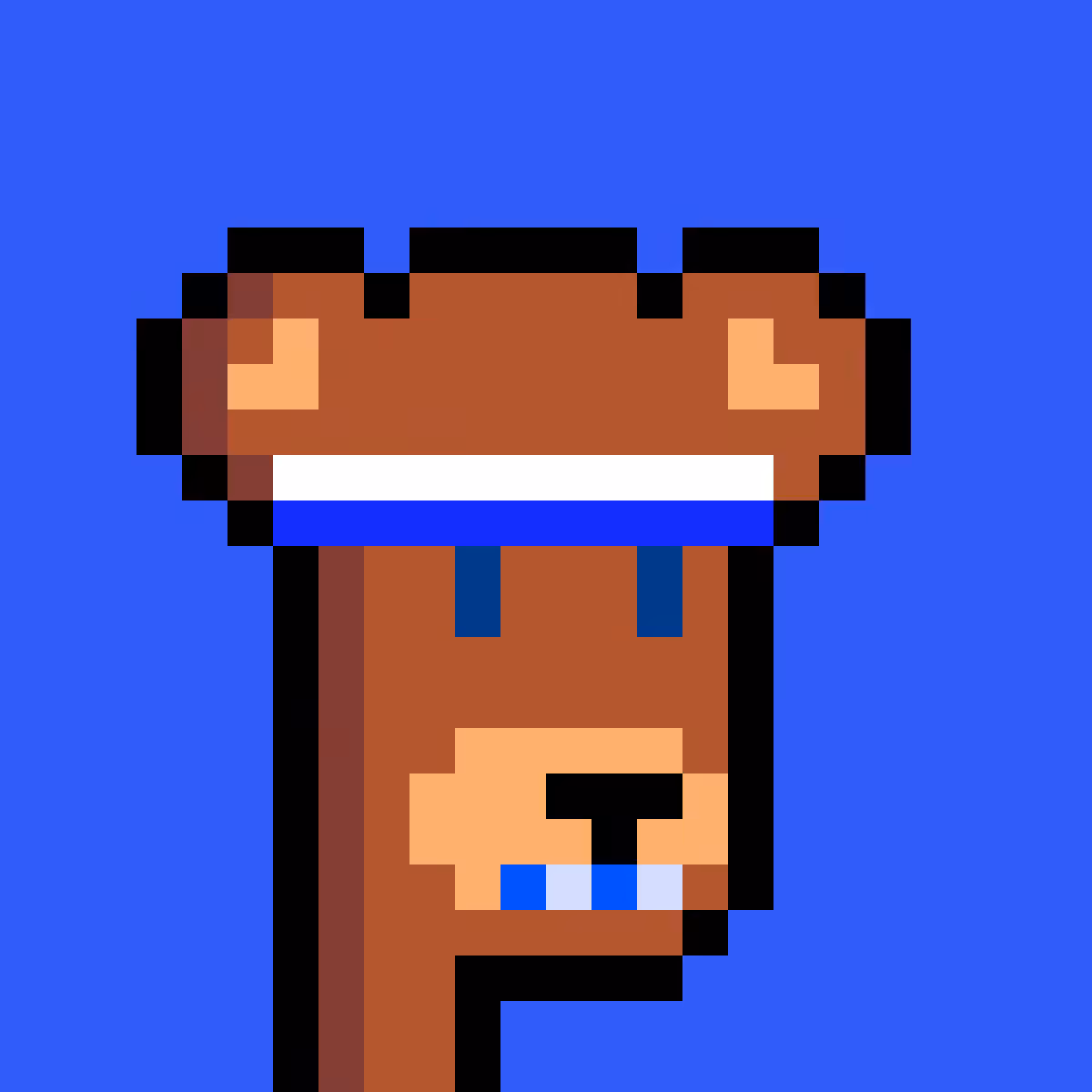 BearPunks #1433