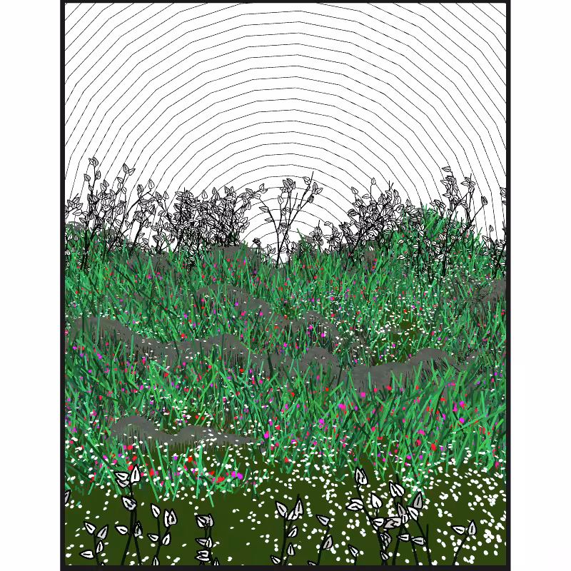 Contours #72
