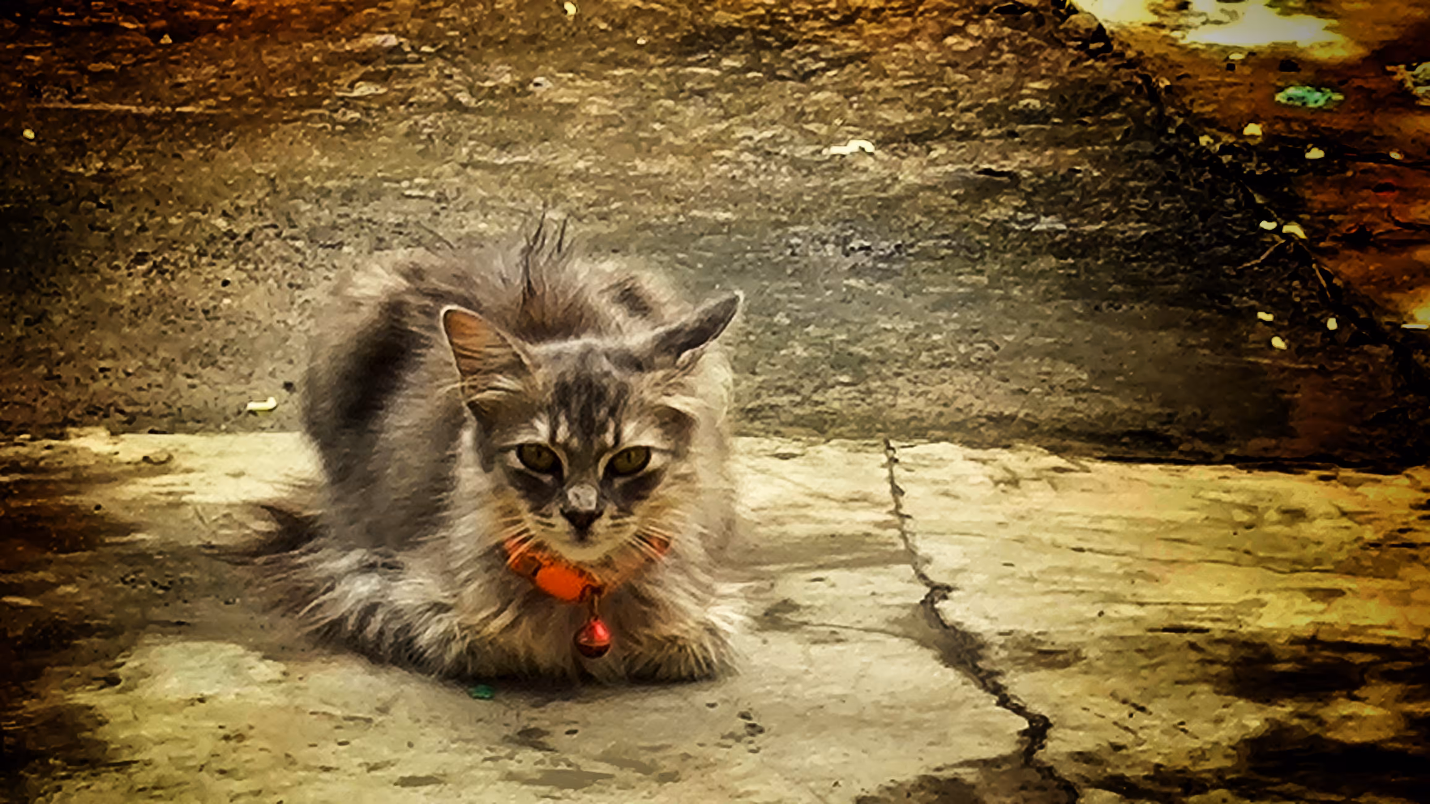 Creative Art: Stillness Beneath a Watchful Gaze
