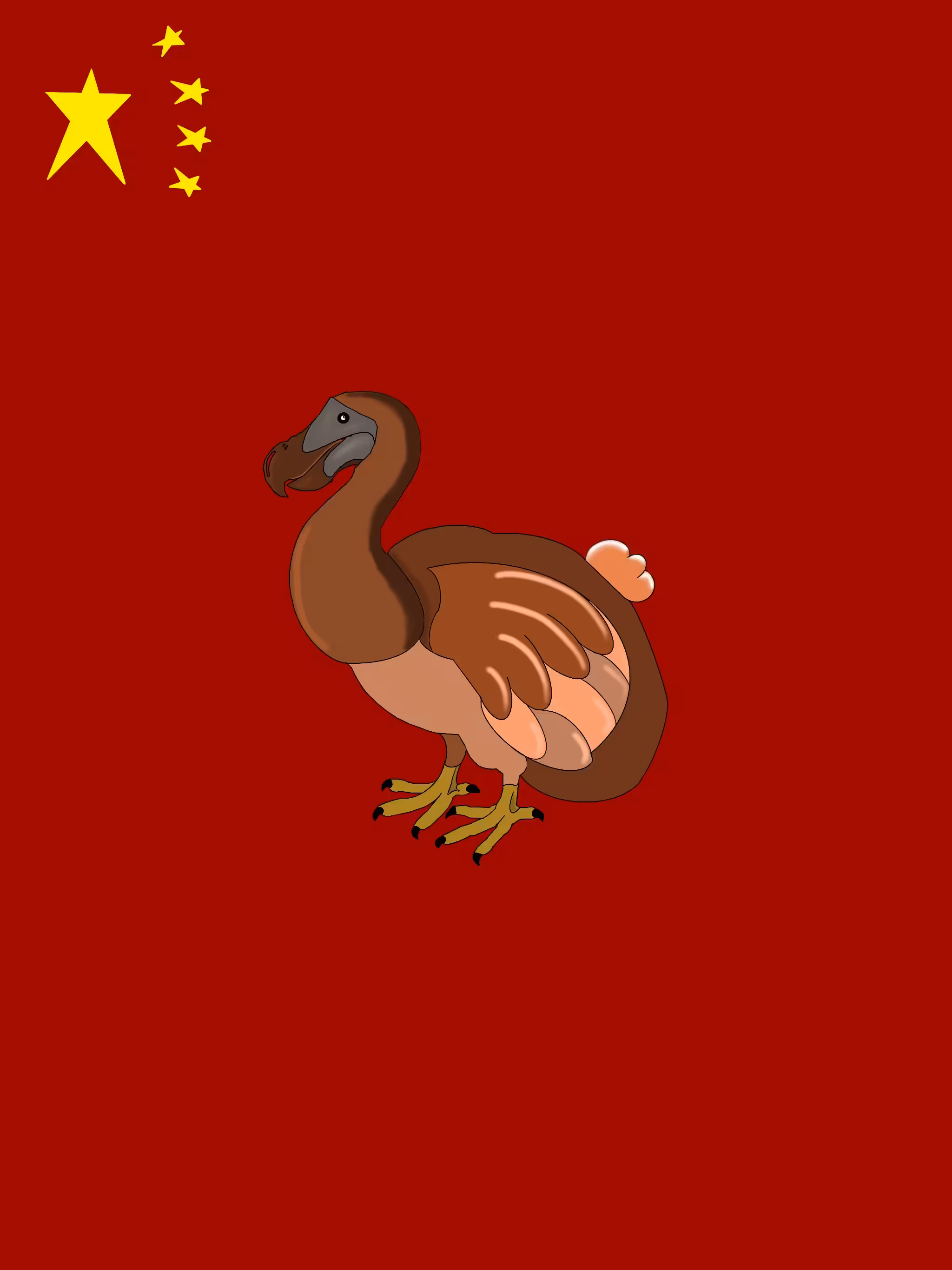chinese dodo