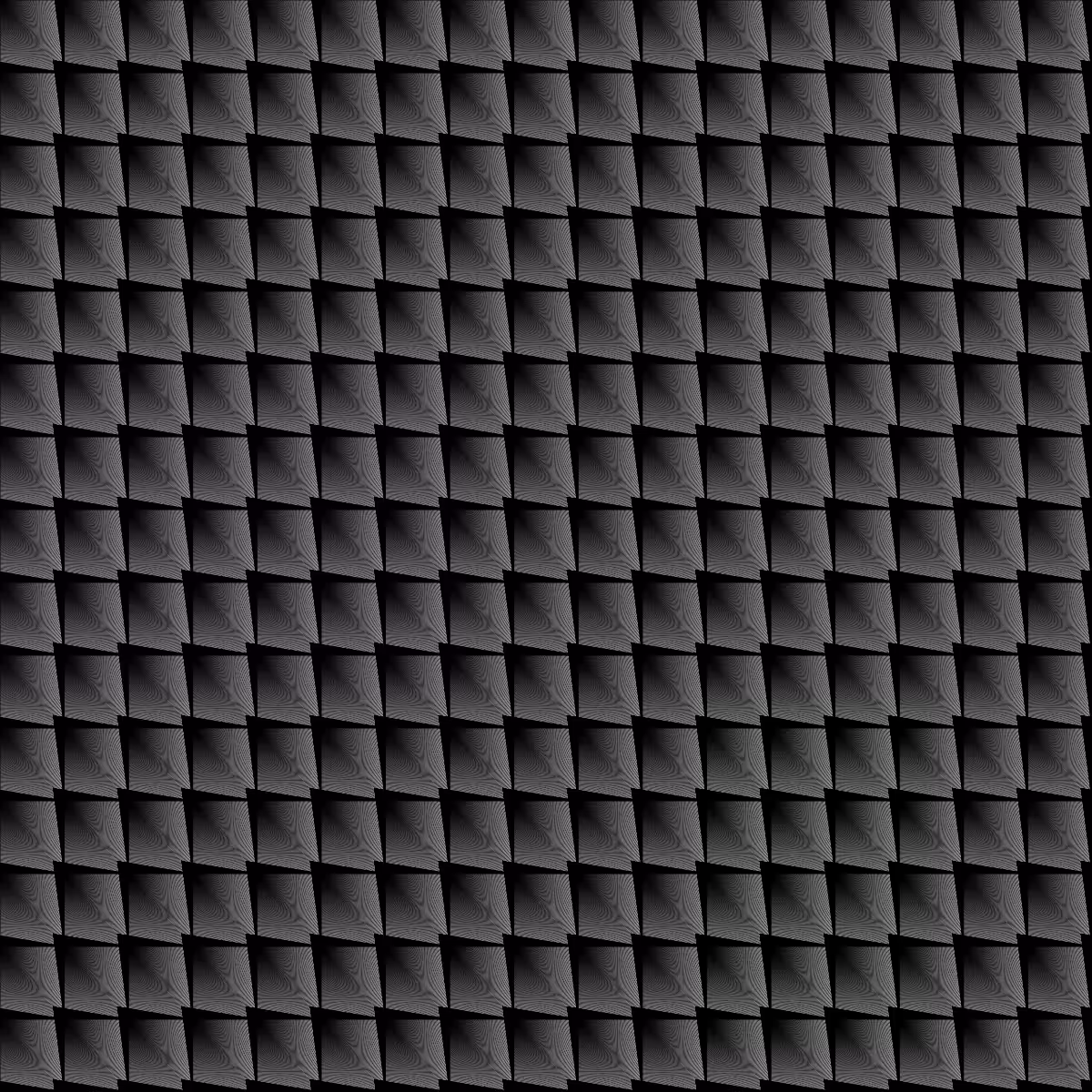 Noir et Blanc #22