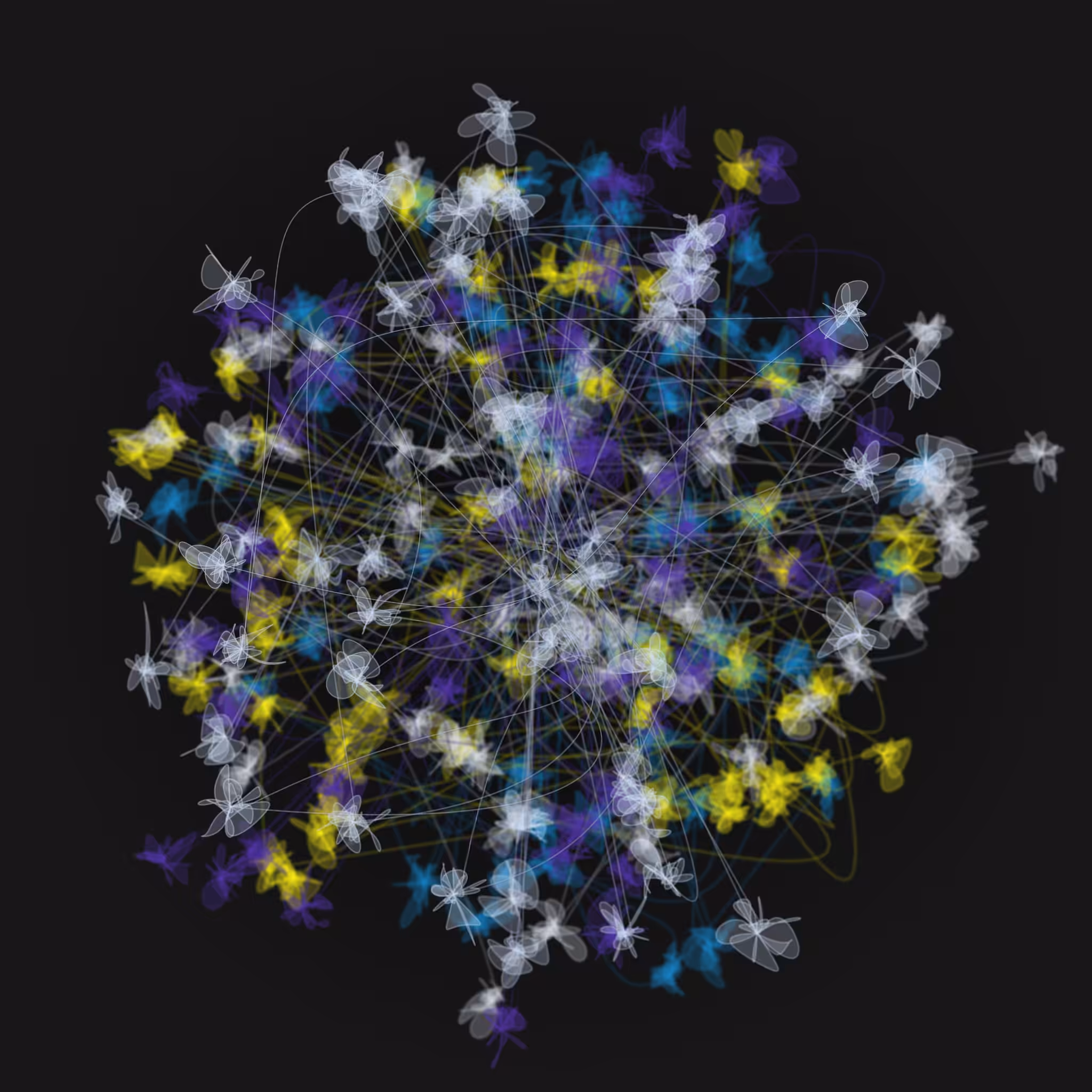 Entanglement #12149
