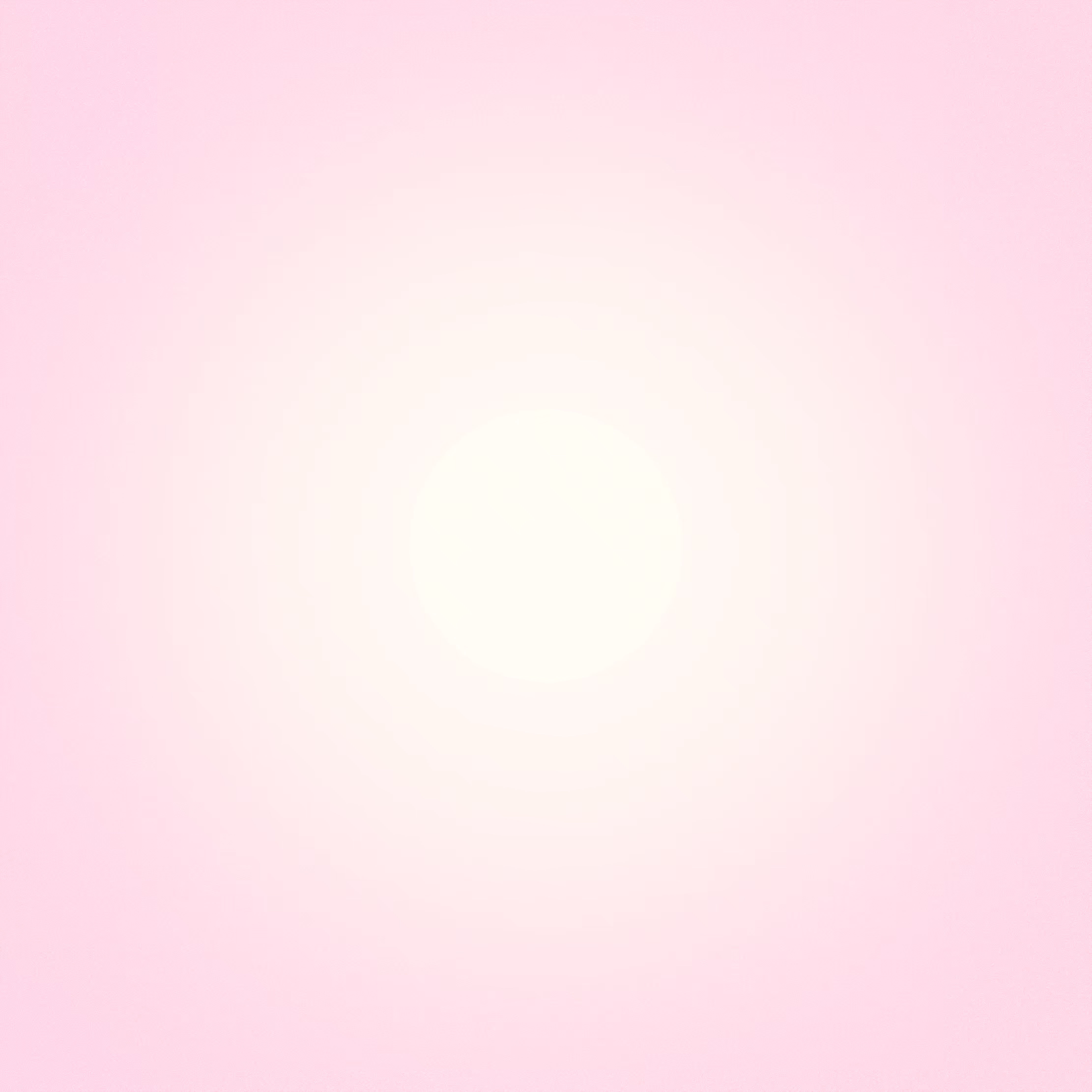 with the light 27